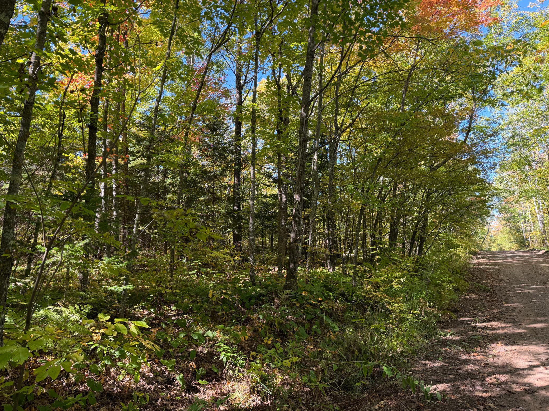 land for sale at tbd 110th in Sturgeon Lake, MN (photo 7 of 15)