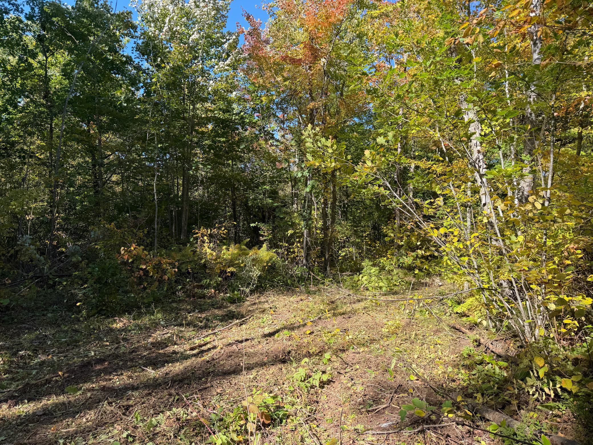 land for sale at tbd 110th in Sturgeon Lake, MN (photo 10 of 15)