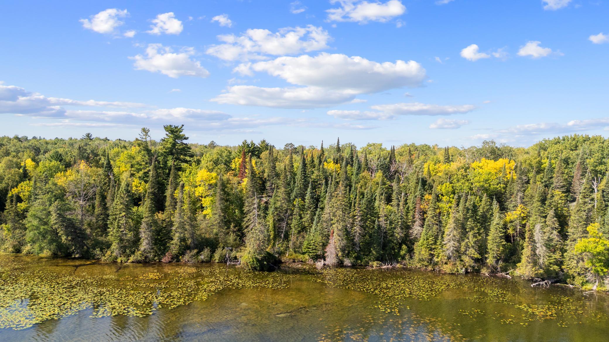 land for sale at 3864 64th Avenue NW in Hackensack, MN (photo 12 of 12)