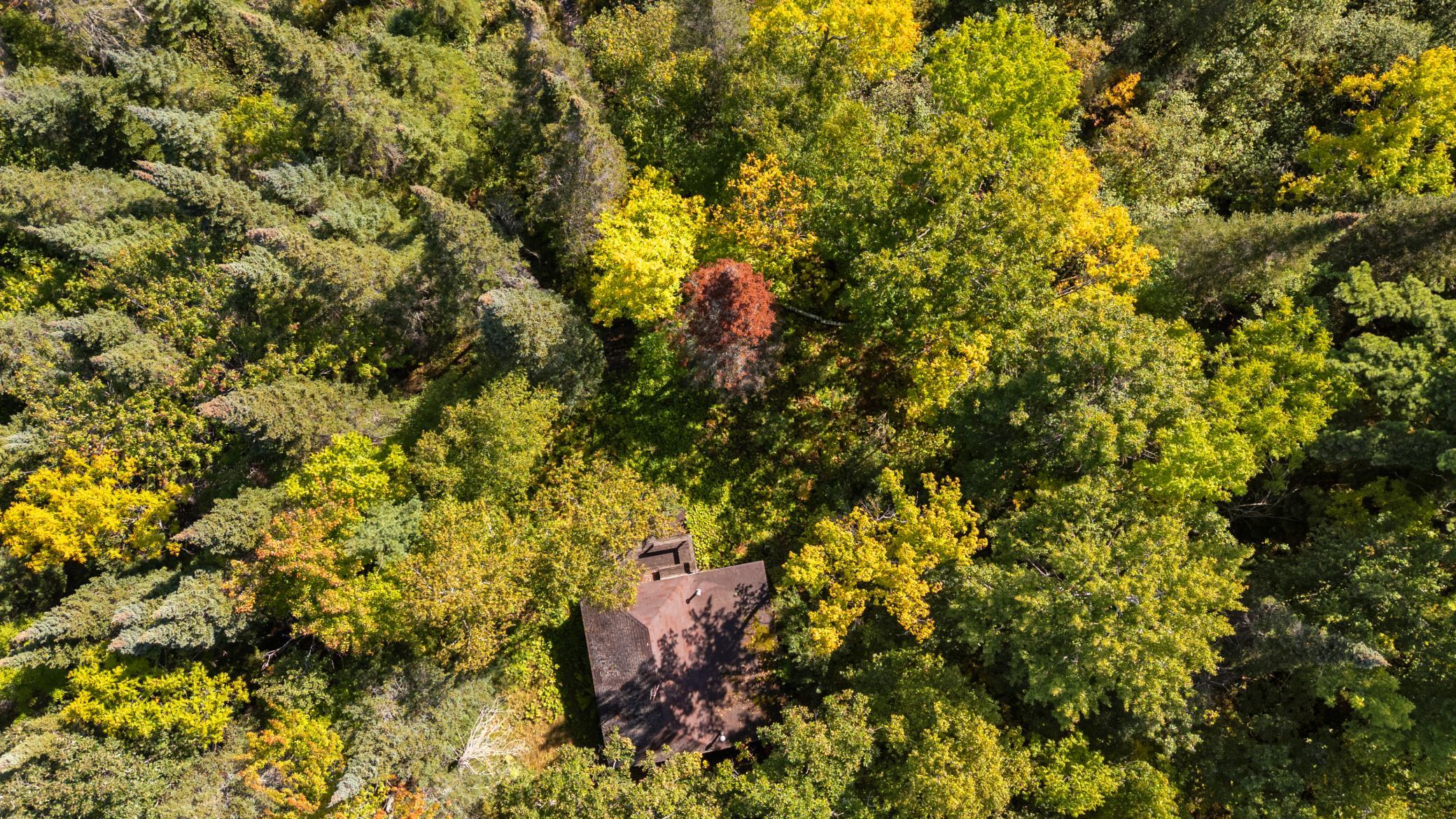 land for sale at 3864 64th Avenue NW in Hackensack, MN (photo 9 of 12)