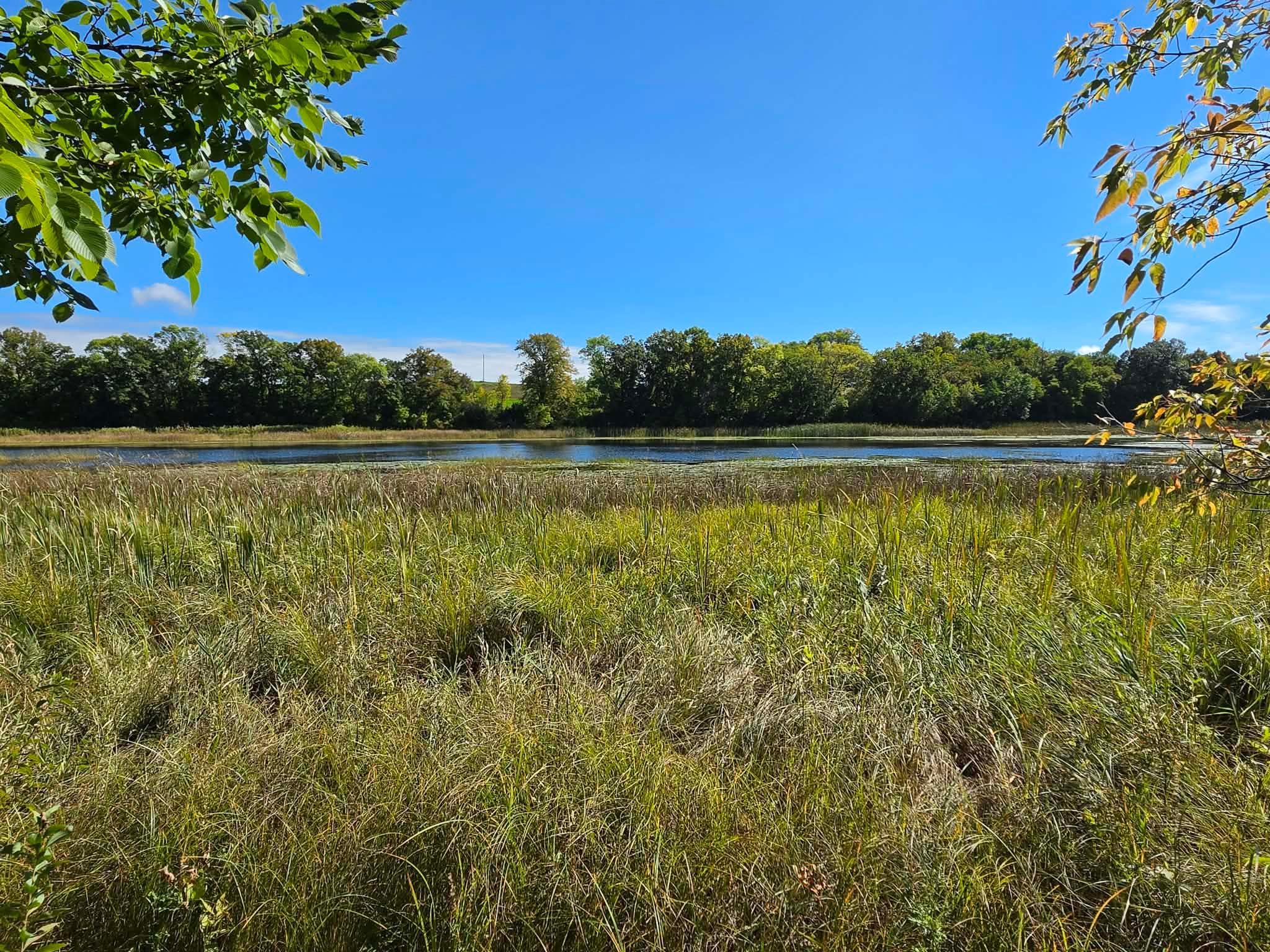 land for sale at TBD Pleasant Lake Trail in Sverdrup Twp, MN
