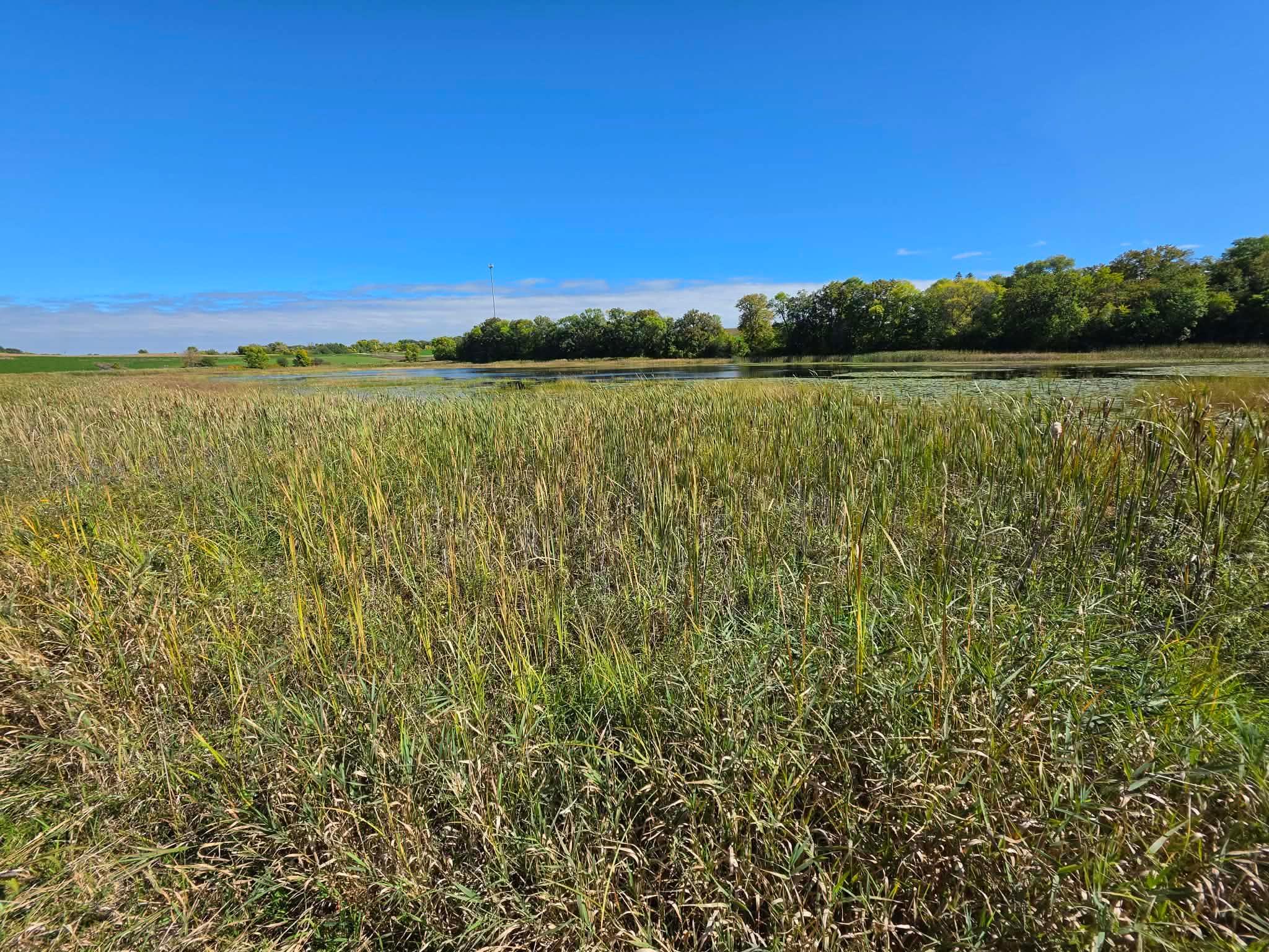 land for sale at TBD Pleasant Lake Trail in Sverdrup Twp, MN (photo 2 of 11)