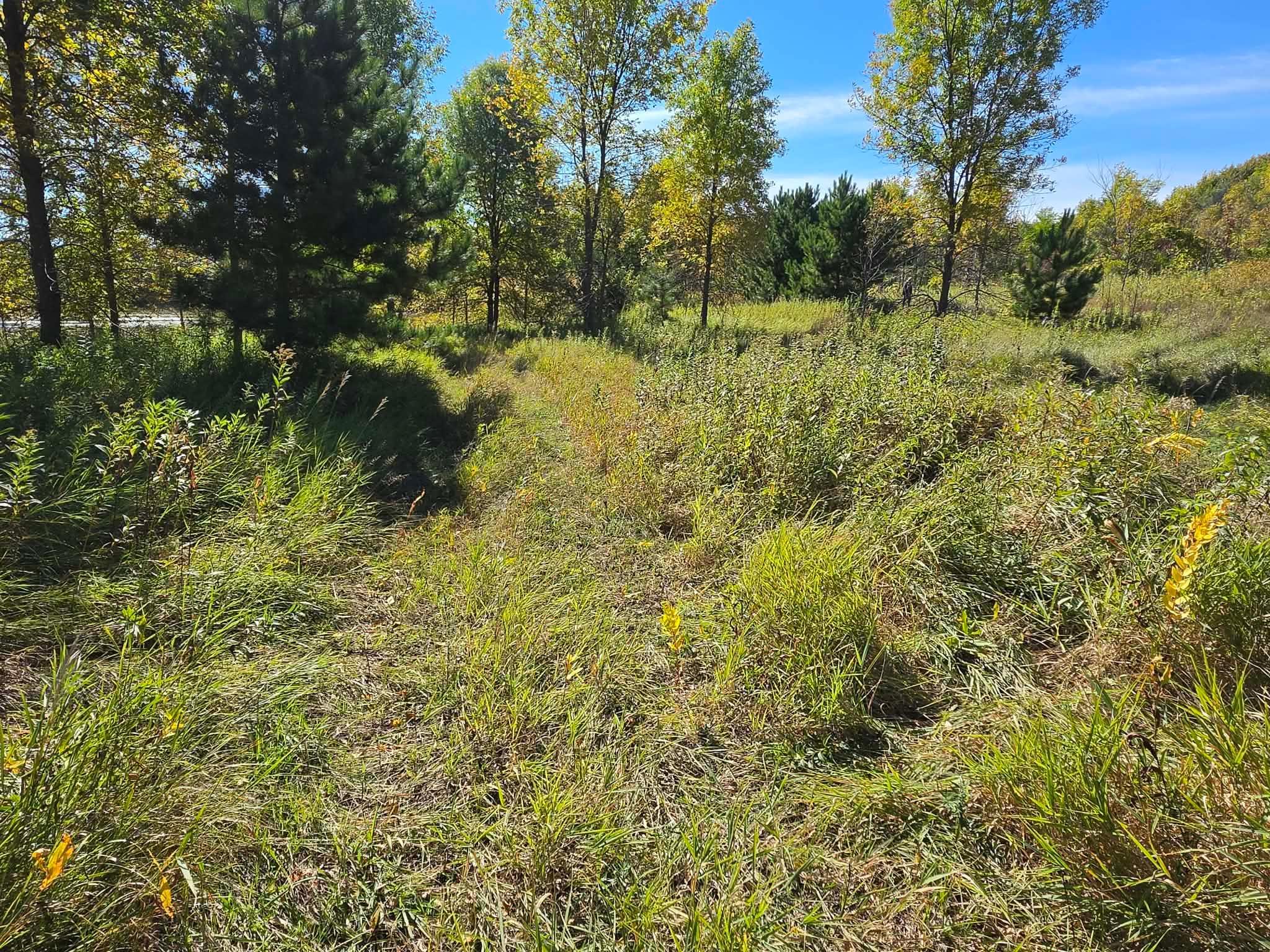 land for sale at TBD Pleasant Lake Trail in Sverdrup Twp, MN (photo 11 of 11)