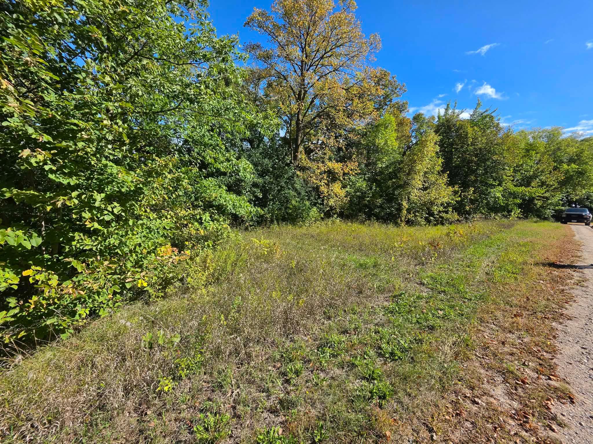 land for sale at TBD Pleasant Lake Trail in Sverdrup Twp, MN (photo 4 of 11)