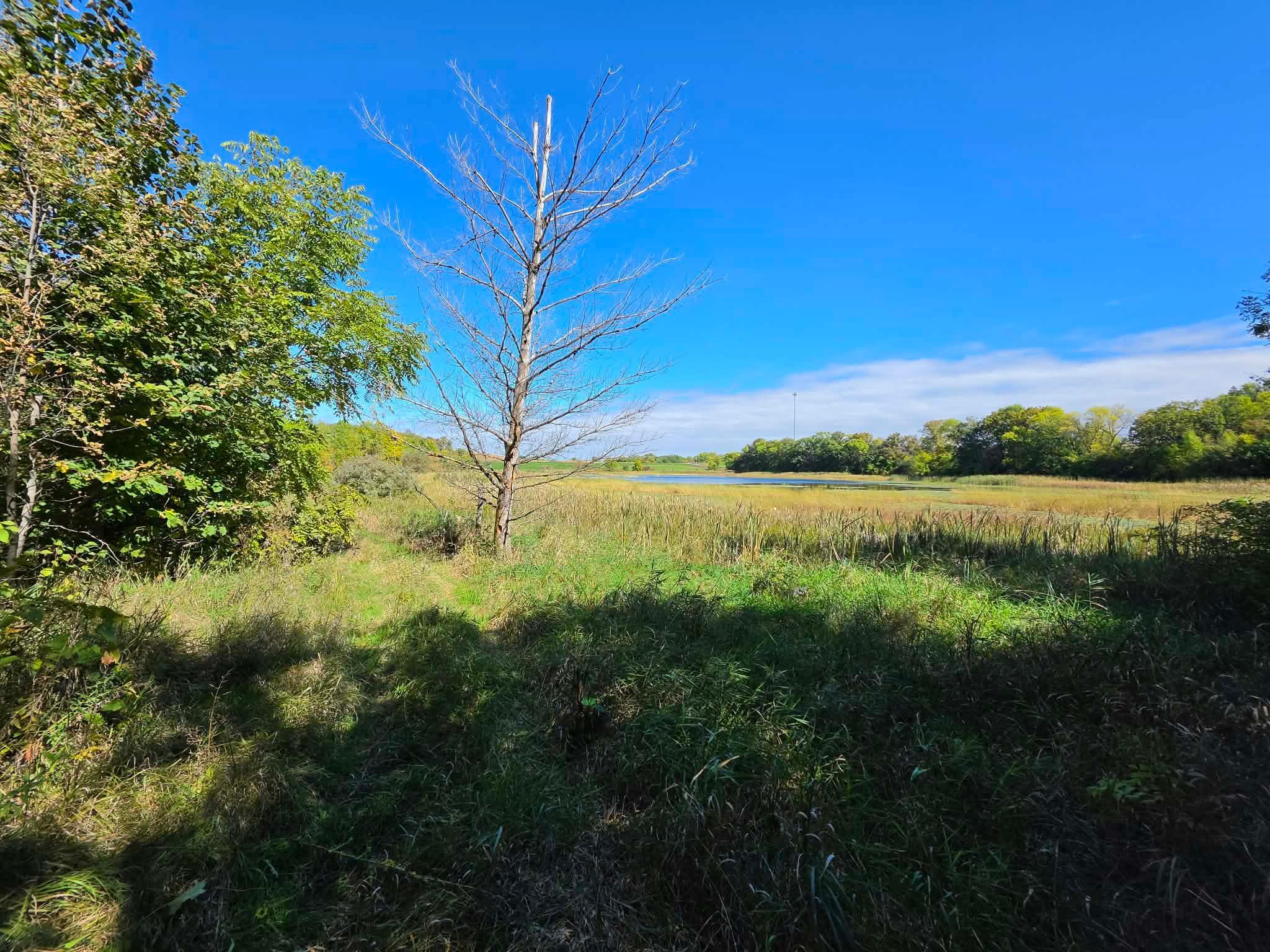 land for sale at TBD Pleasant Lake Trail in Sverdrup Twp, MN (photo 5 of 11)