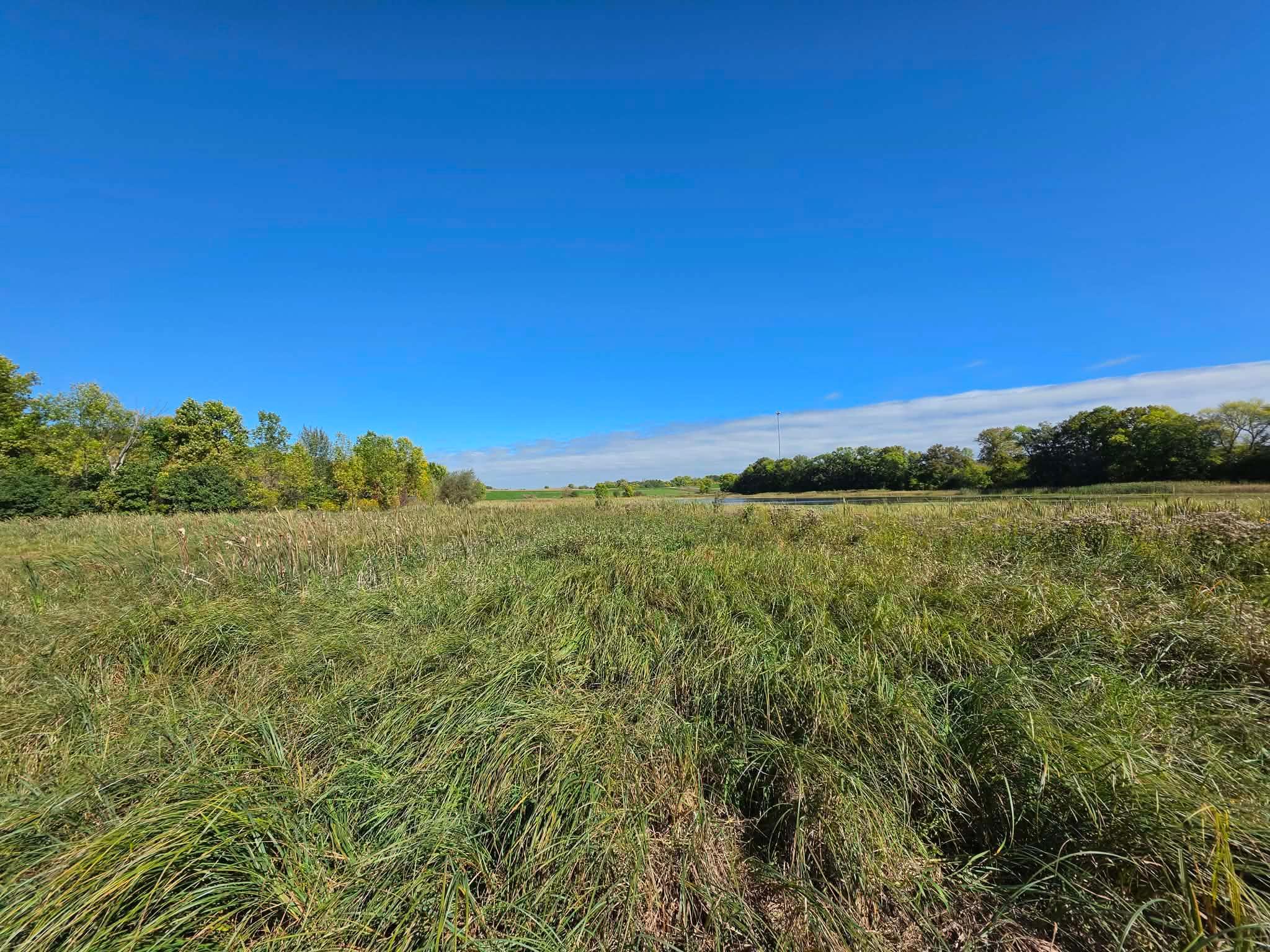 land for sale at TBD Pleasant Lake Trail in Sverdrup Twp, MN (photo 6 of 11)