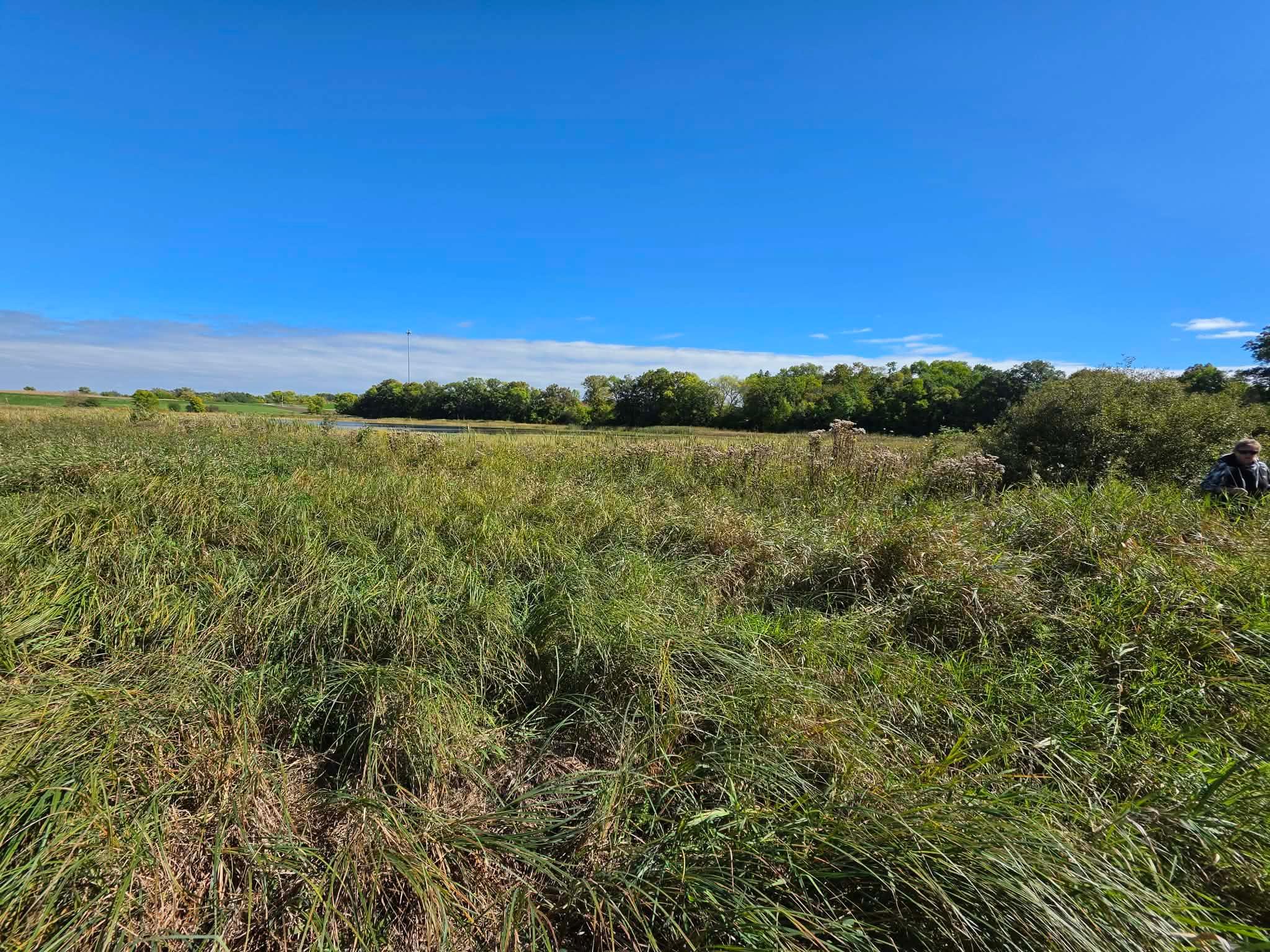 land for sale at TBD Pleasant Lake Trail in Sverdrup Twp, MN (photo 7 of 11)