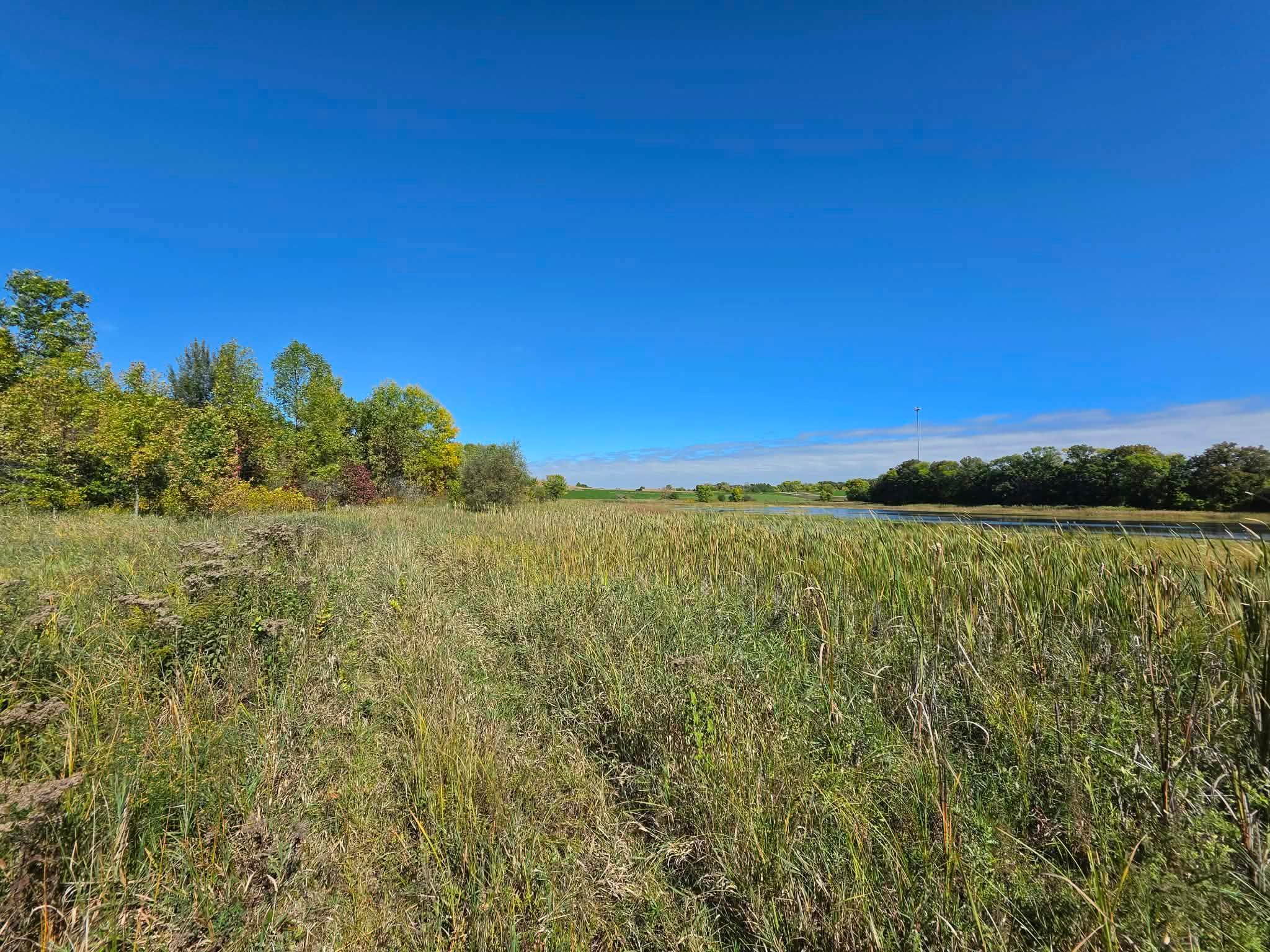 land for sale at TBD Pleasant Lake Trail in Sverdrup Twp, MN (photo 8 of 11)
