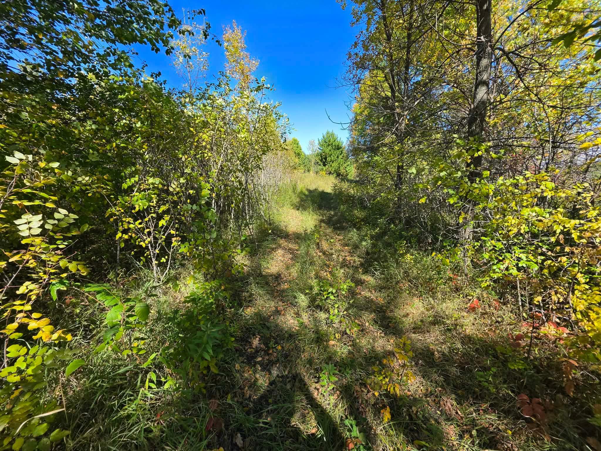 land for sale at TBD Pleasant Lake Trail in Sverdrup Twp, MN (photo 9 of 11)