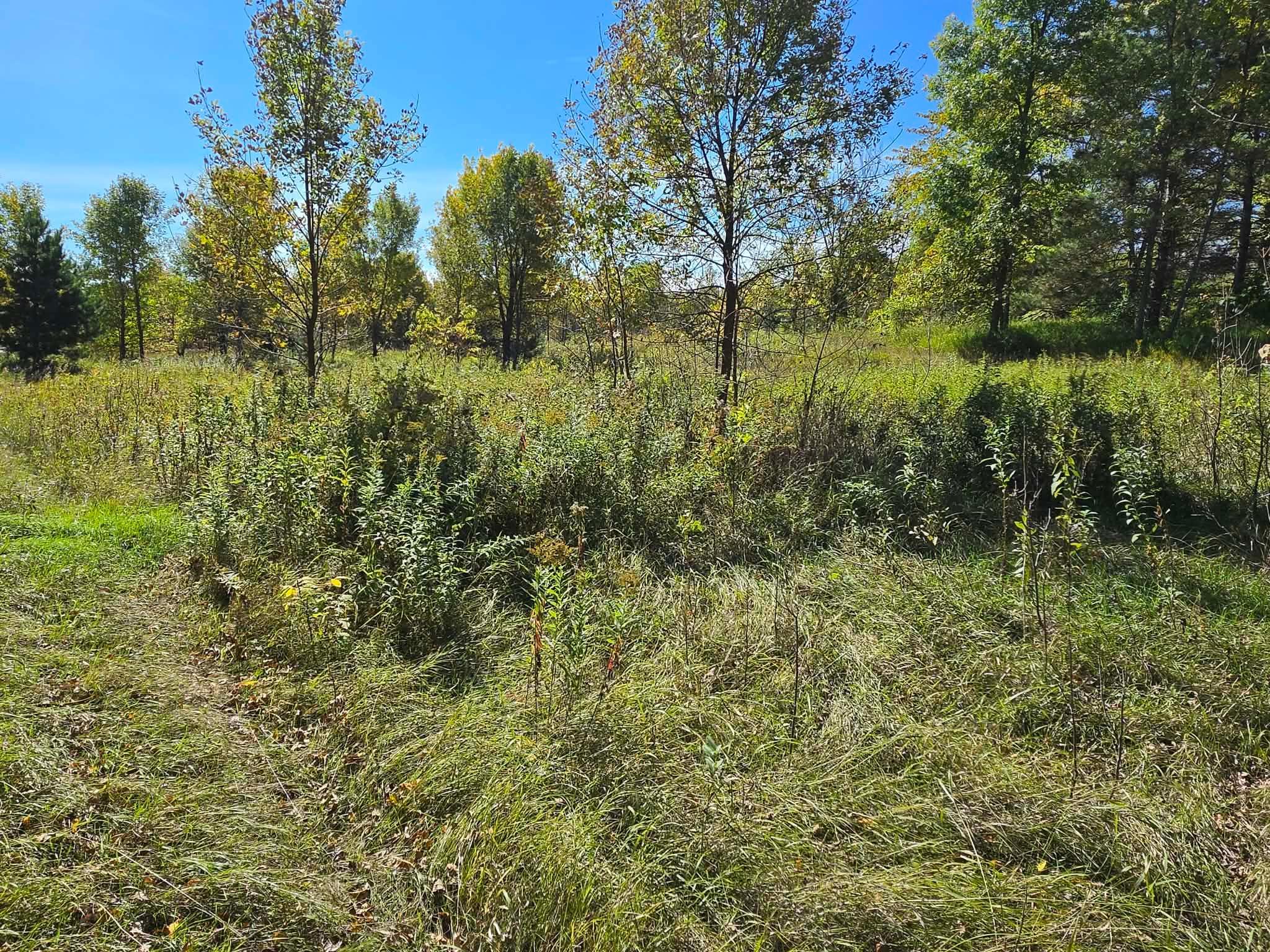 land for sale at TBD Pleasant Lake Trail in Sverdrup Twp, MN (photo 10 of 11)