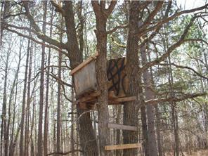 land for sale at 200th TBD Avenue in McGregor, MN (photo 2 of 6)