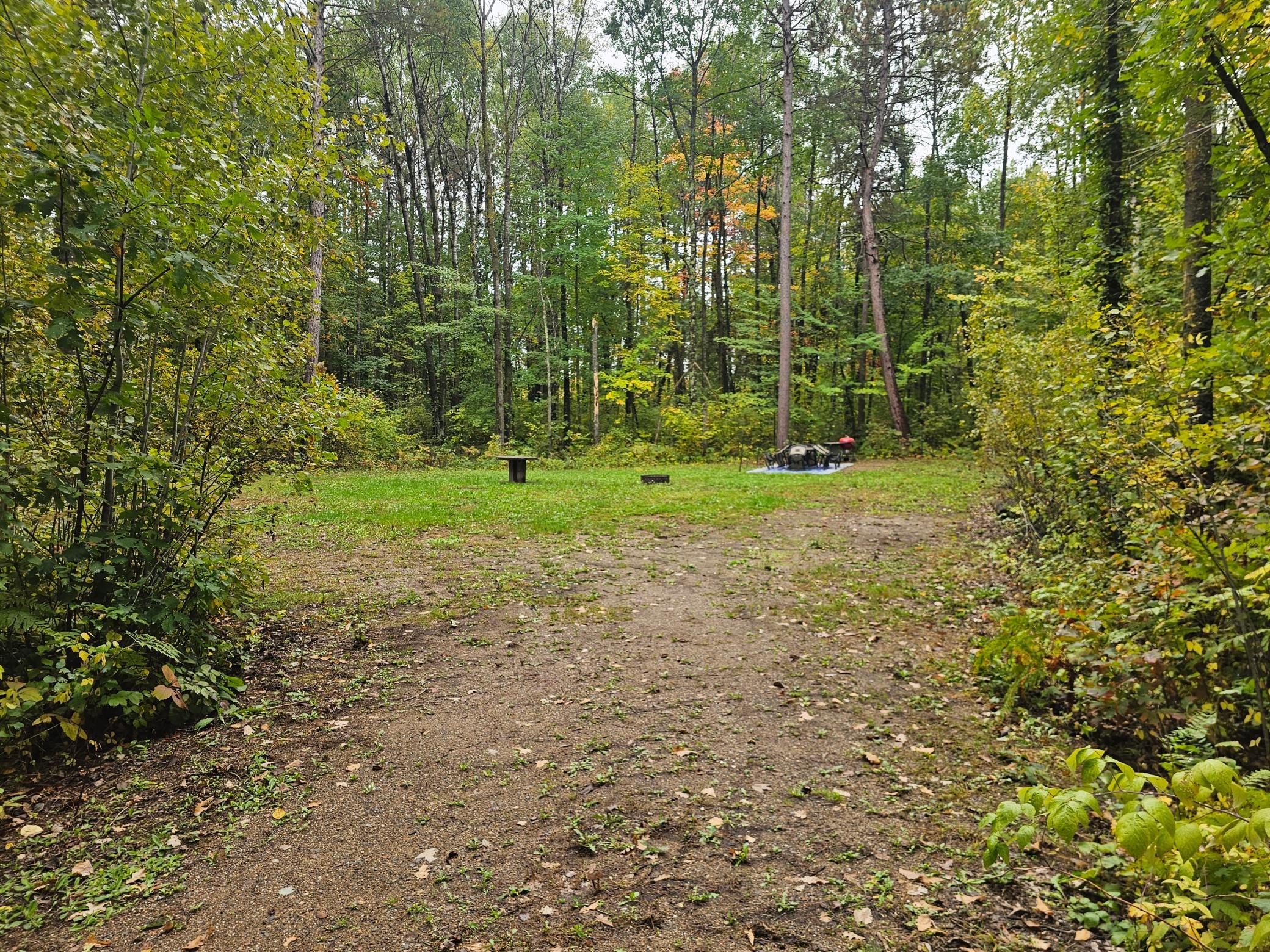 land for sale at 20012 Nature Trail in Ironton, MN (photo 2 of 13)
