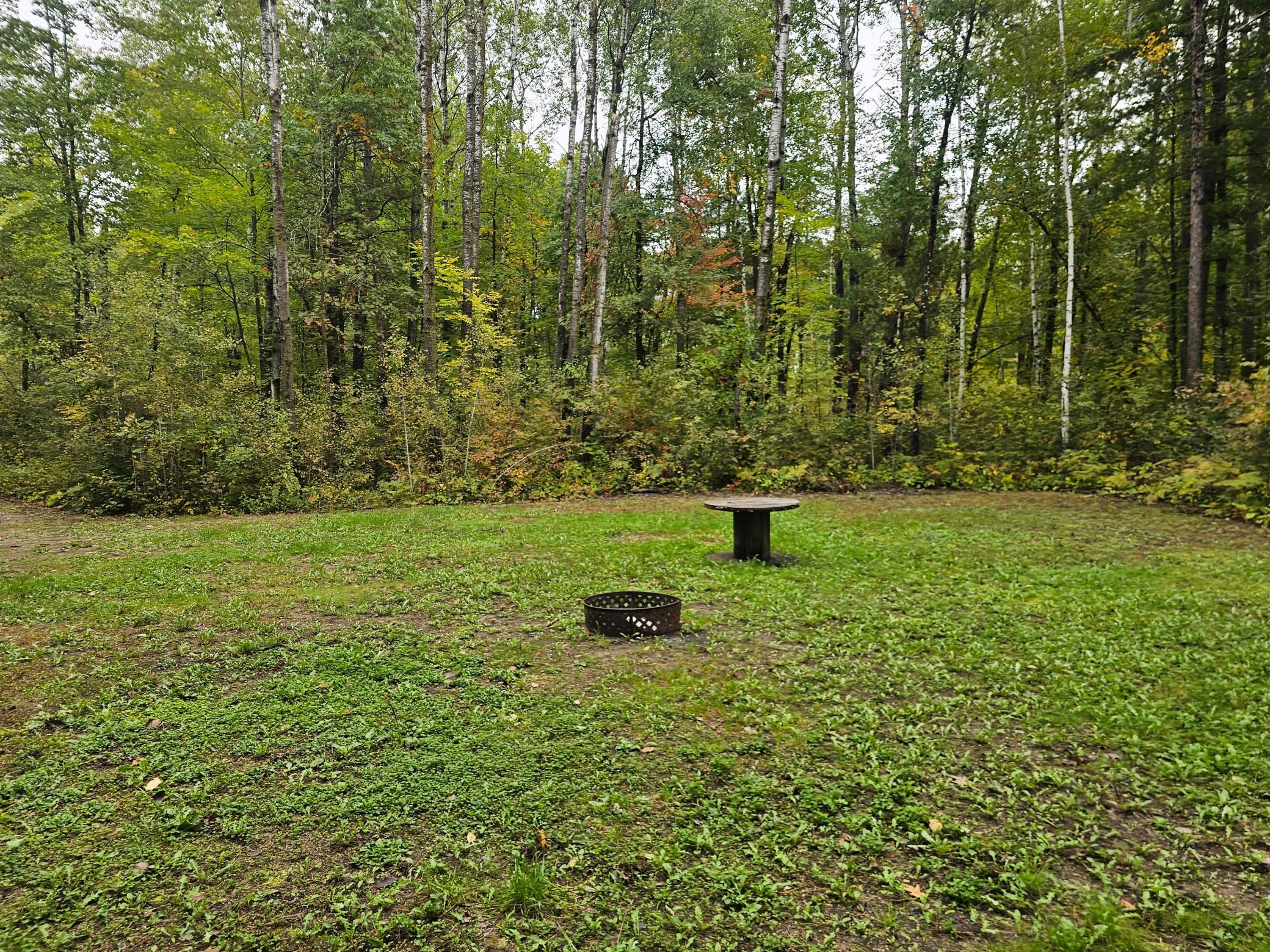 land for sale at 20012 Nature Trail in Ironton, MN (photo 3 of 13)