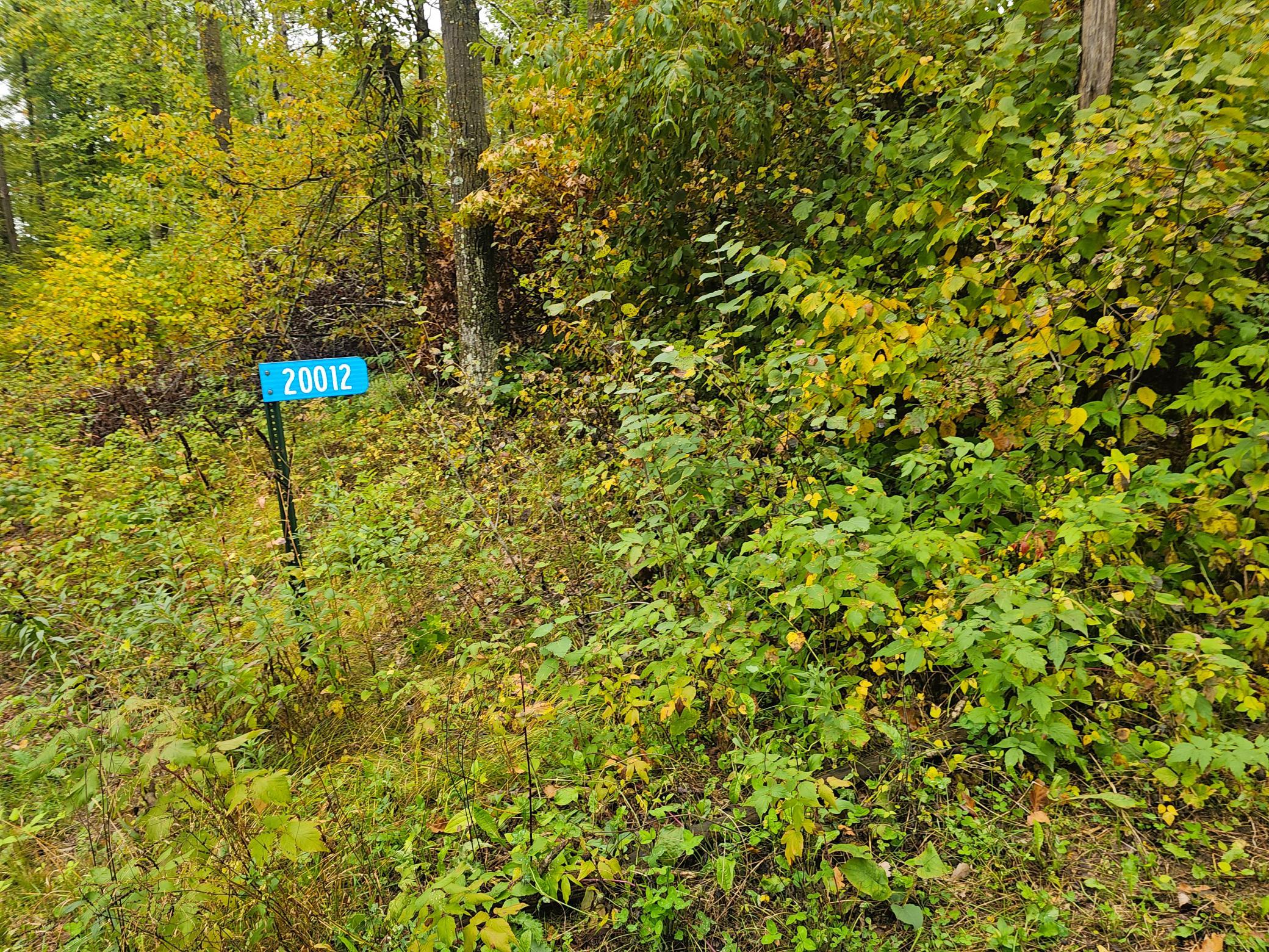 land for sale at 20012 Nature Trail in Ironton, MN (photo 6 of 13)