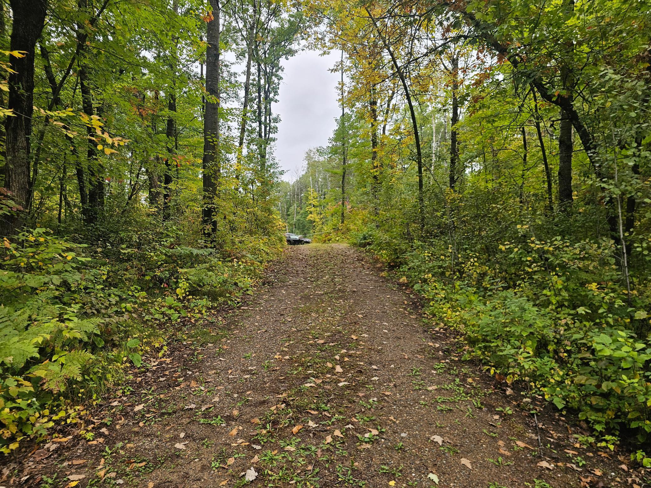 land for sale at 20012 Nature Trail in Ironton, MN (photo 7 of 13)