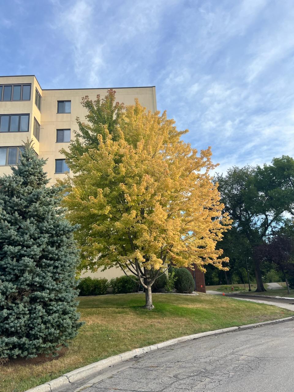 1978 condo for sale at 105 3rd Street N, Unit 508 in Moorhead, MN — 2 bed, 2 bath (photo 33 of 36)