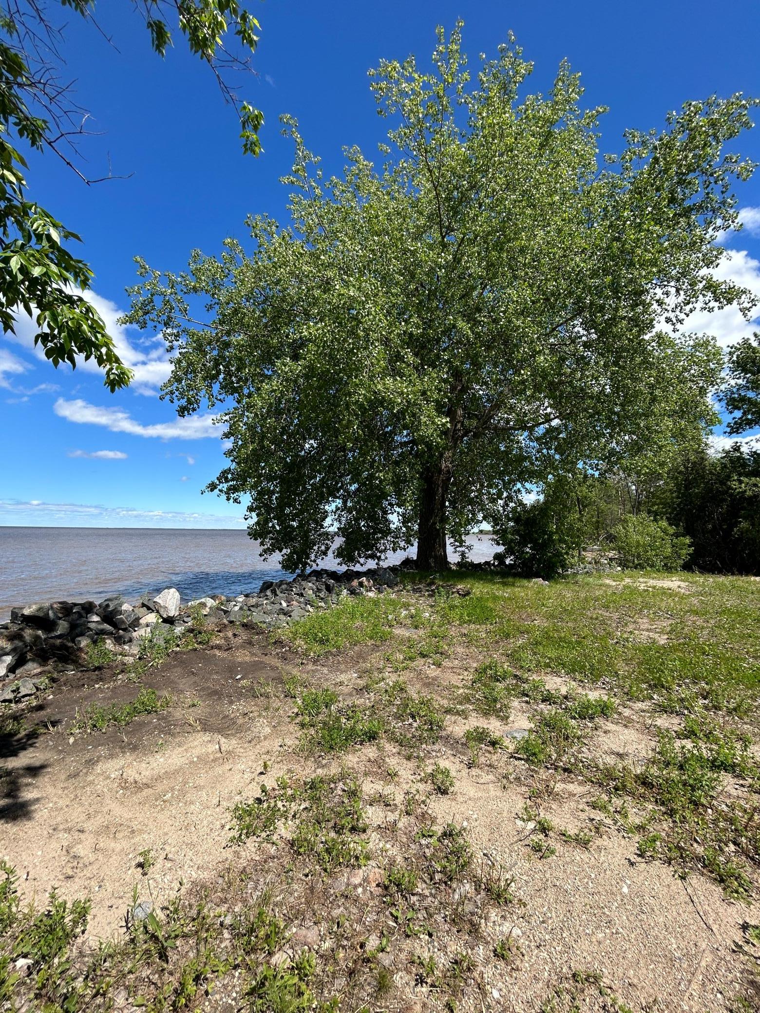 land for sale at 4548 Graceton Beach Road NW in Williams, MN