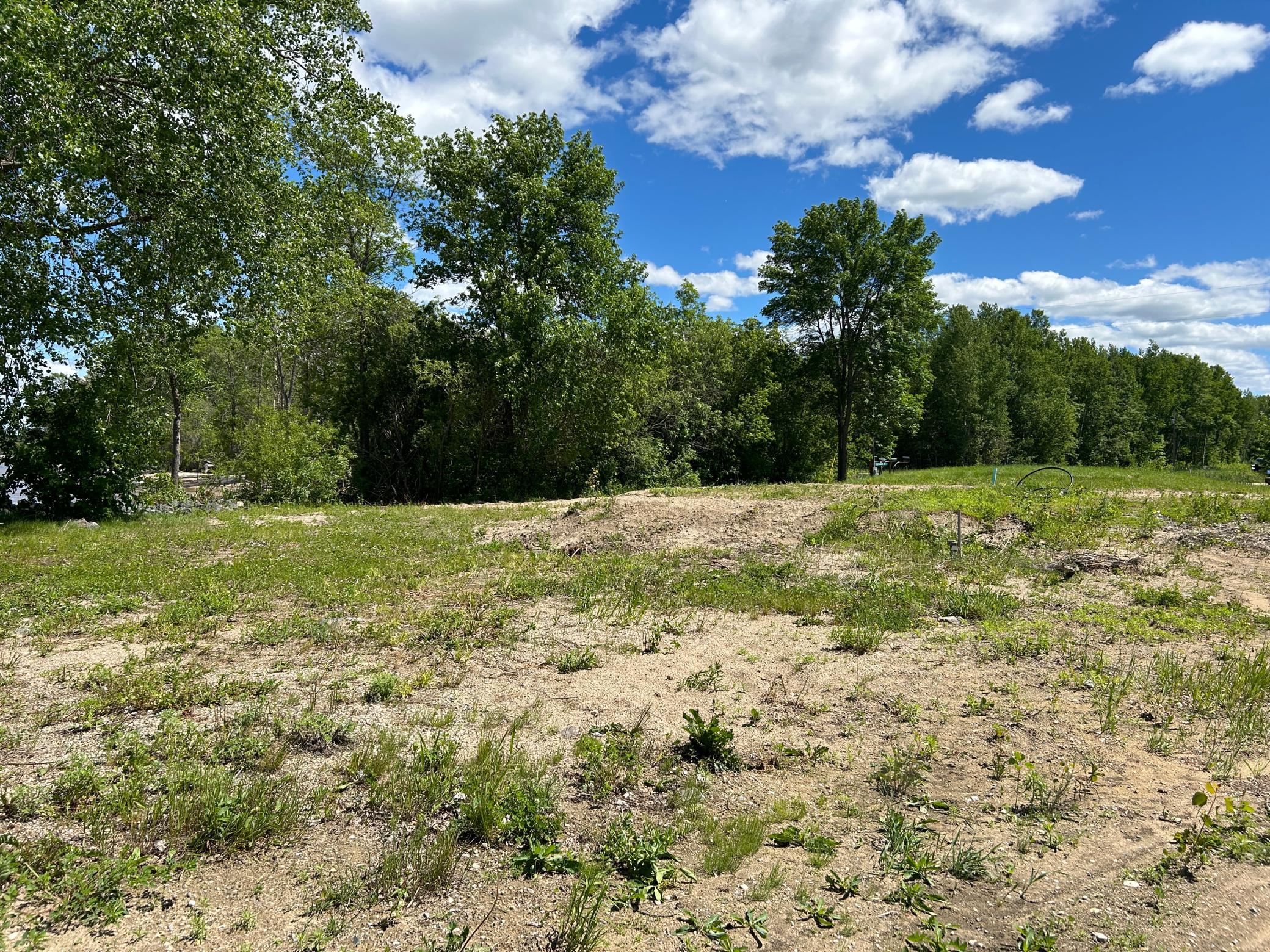 land for sale at 4548 Graceton Beach Road NW in Williams, MN (photo 11 of 18)