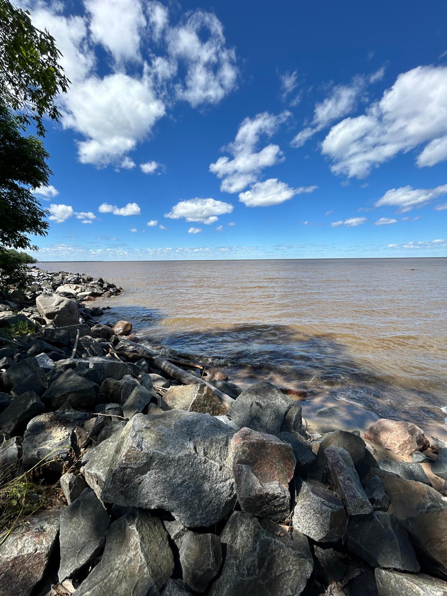 land for sale at 4548 Graceton Beach Road NW in Williams, MN (photo 13 of 18)