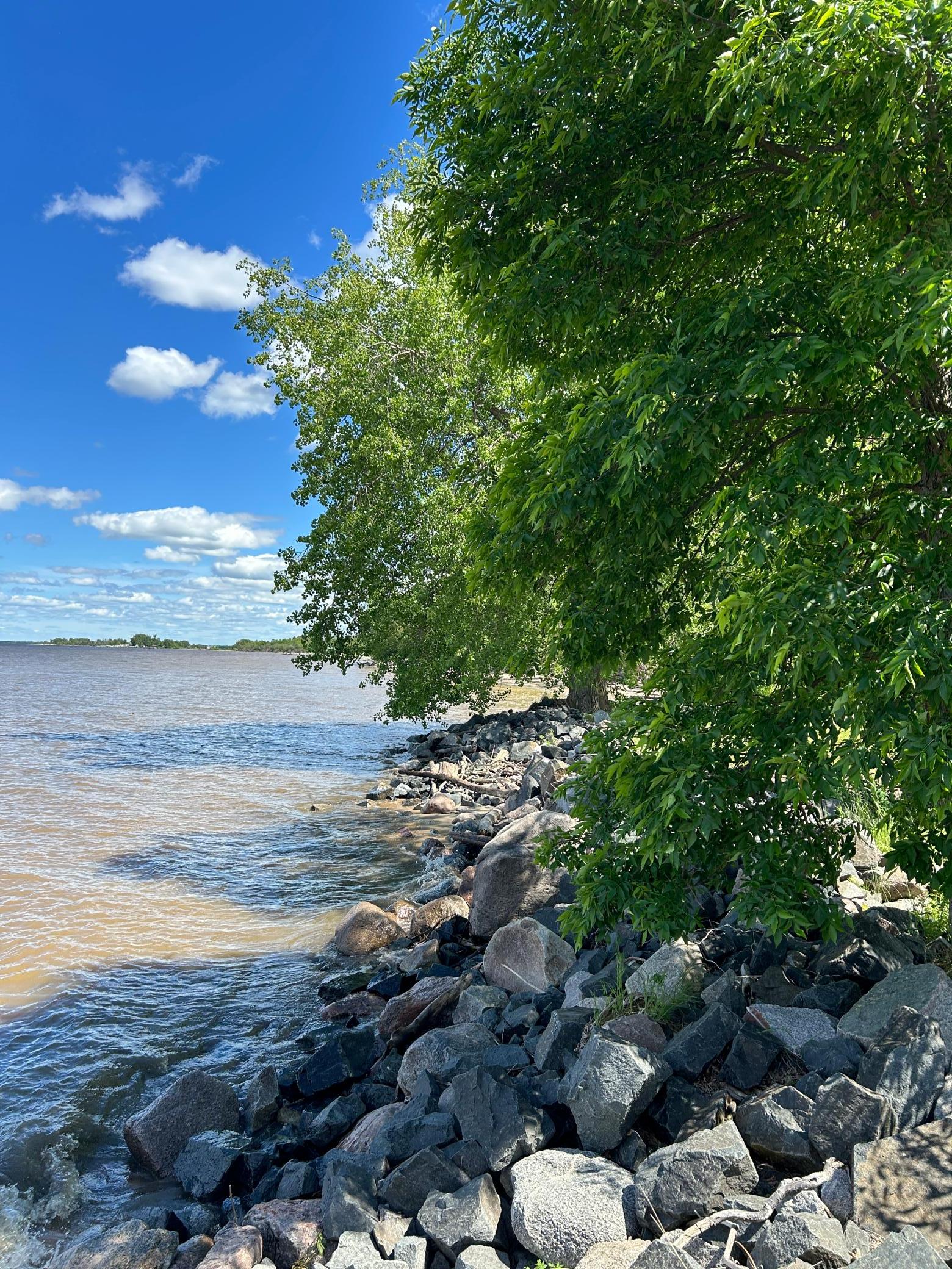 land for sale at 4548 Graceton Beach Road NW in Williams, MN (photo 14 of 18)