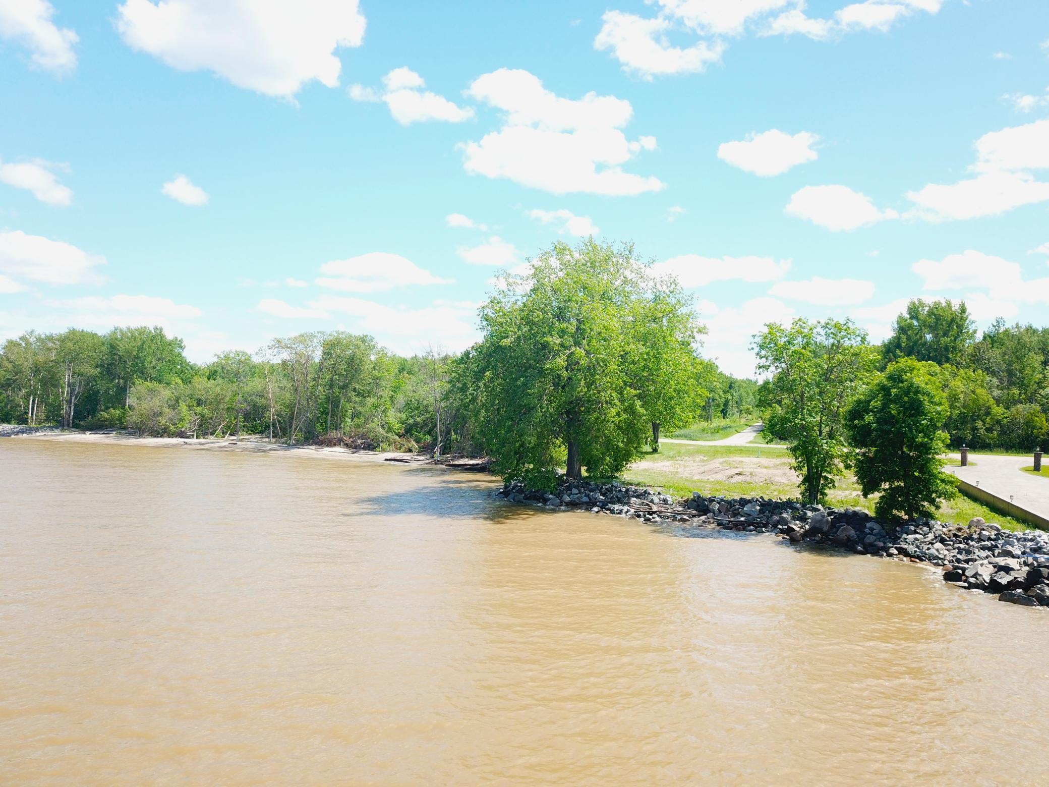 land for sale at 4548 Graceton Beach Road NW in Williams, MN (photo 16 of 18)