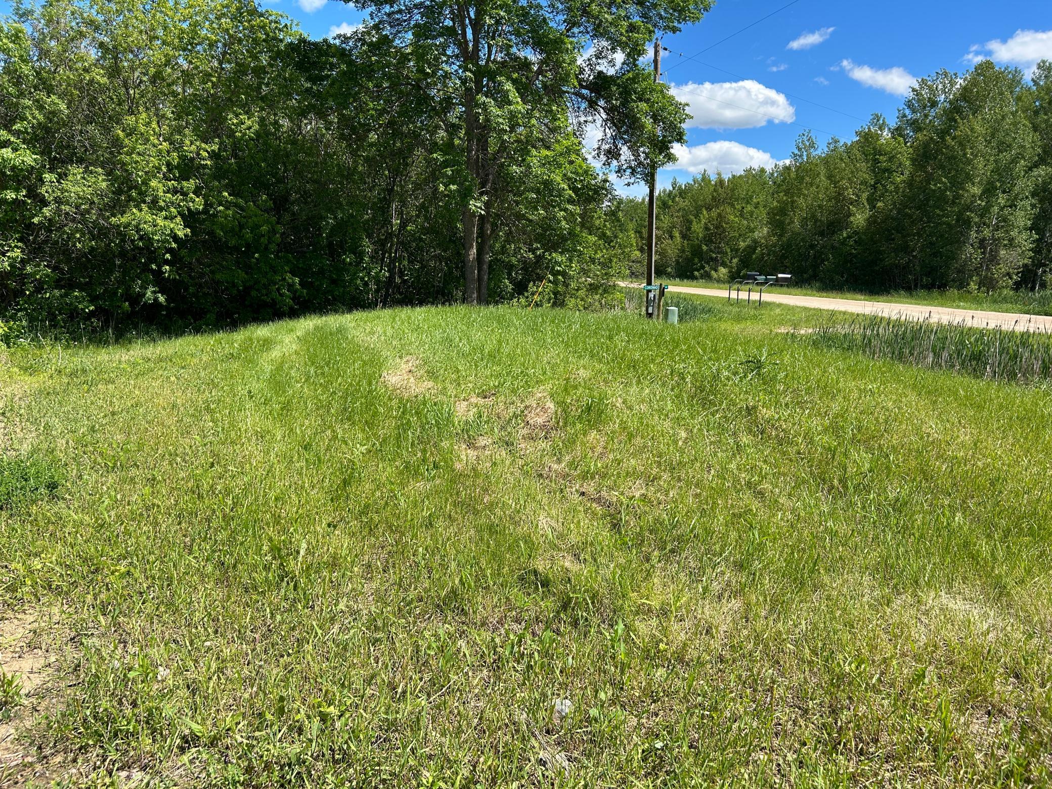 land for sale at 4548 Graceton Beach Road NW in Williams, MN (photo 10 of 18)
