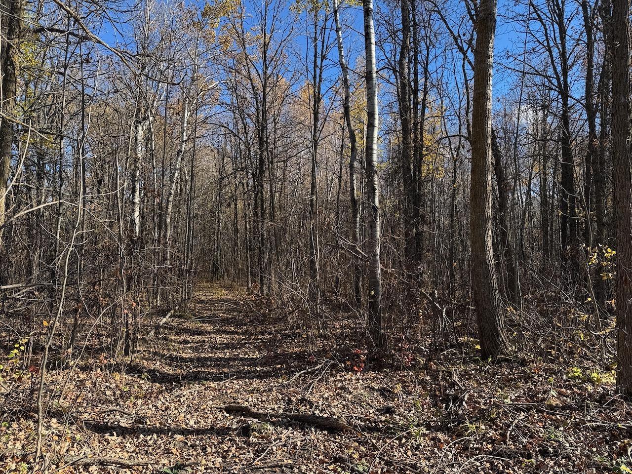 land for sale at TBD Spangrud Court NE in Kelliher, MN