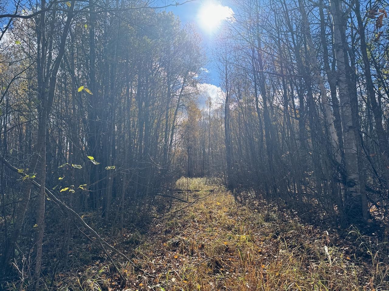 land for sale at TBD Spangrud Court NE in Kelliher, MN (photo 12 of 13)