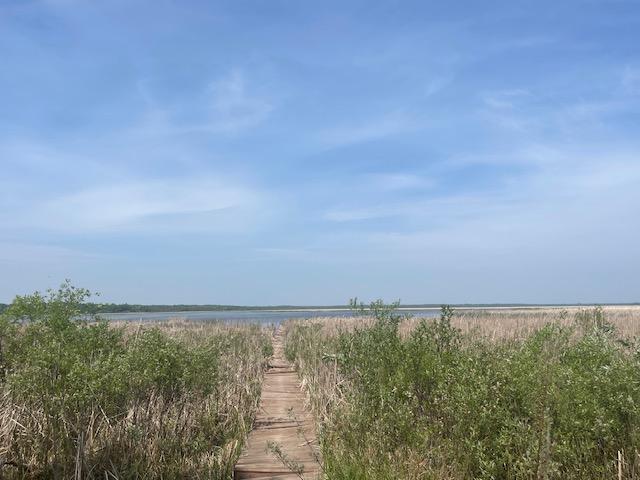2002 single family home for sale at 4716 Big Rice Lake Road NE in Remer, MN — 2 bed, 1 bath (photo 24 of 42)