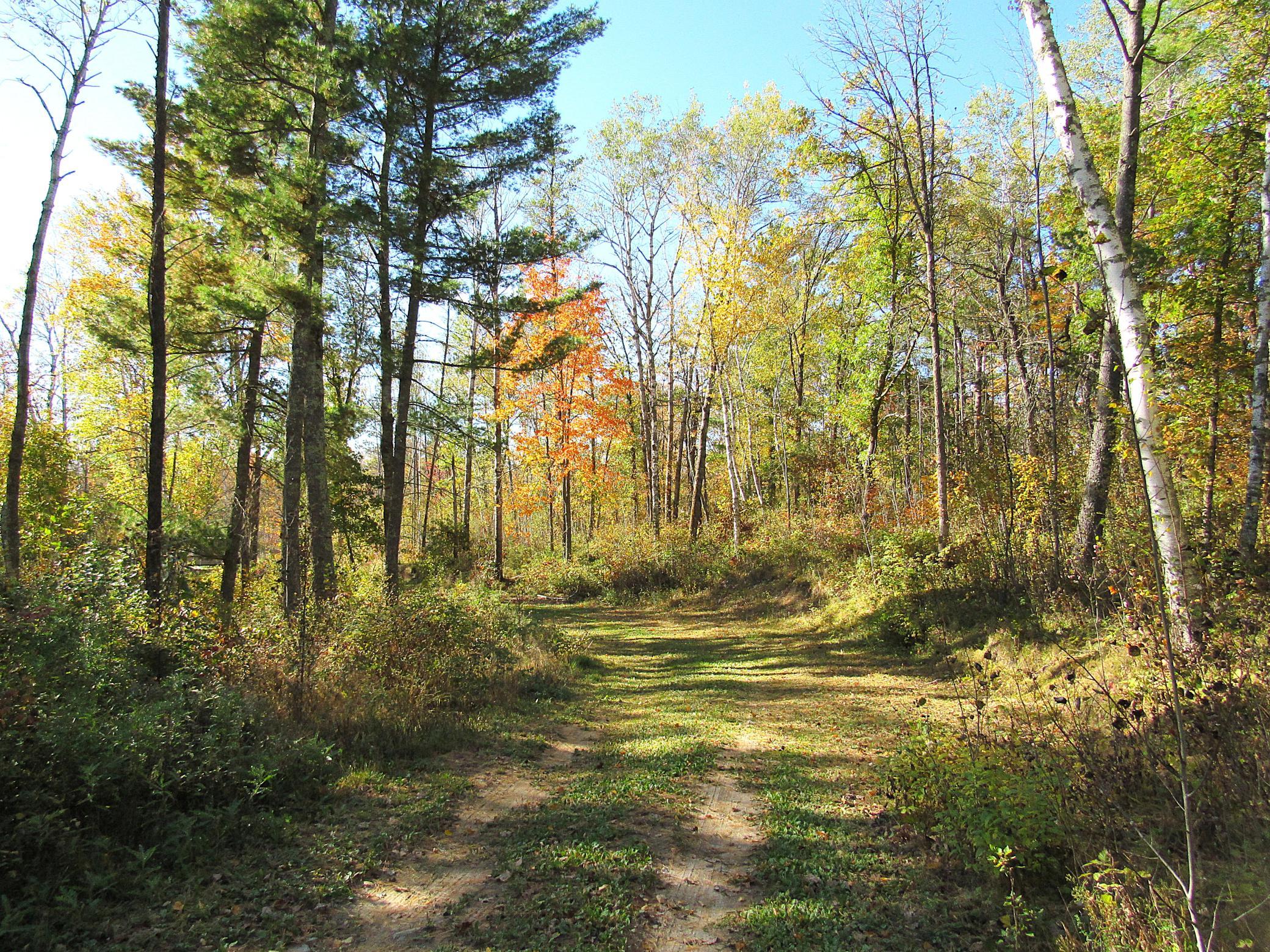 2023 land for sale at XXX US 71 in Park Rapids, MN (photo 13 of 15)