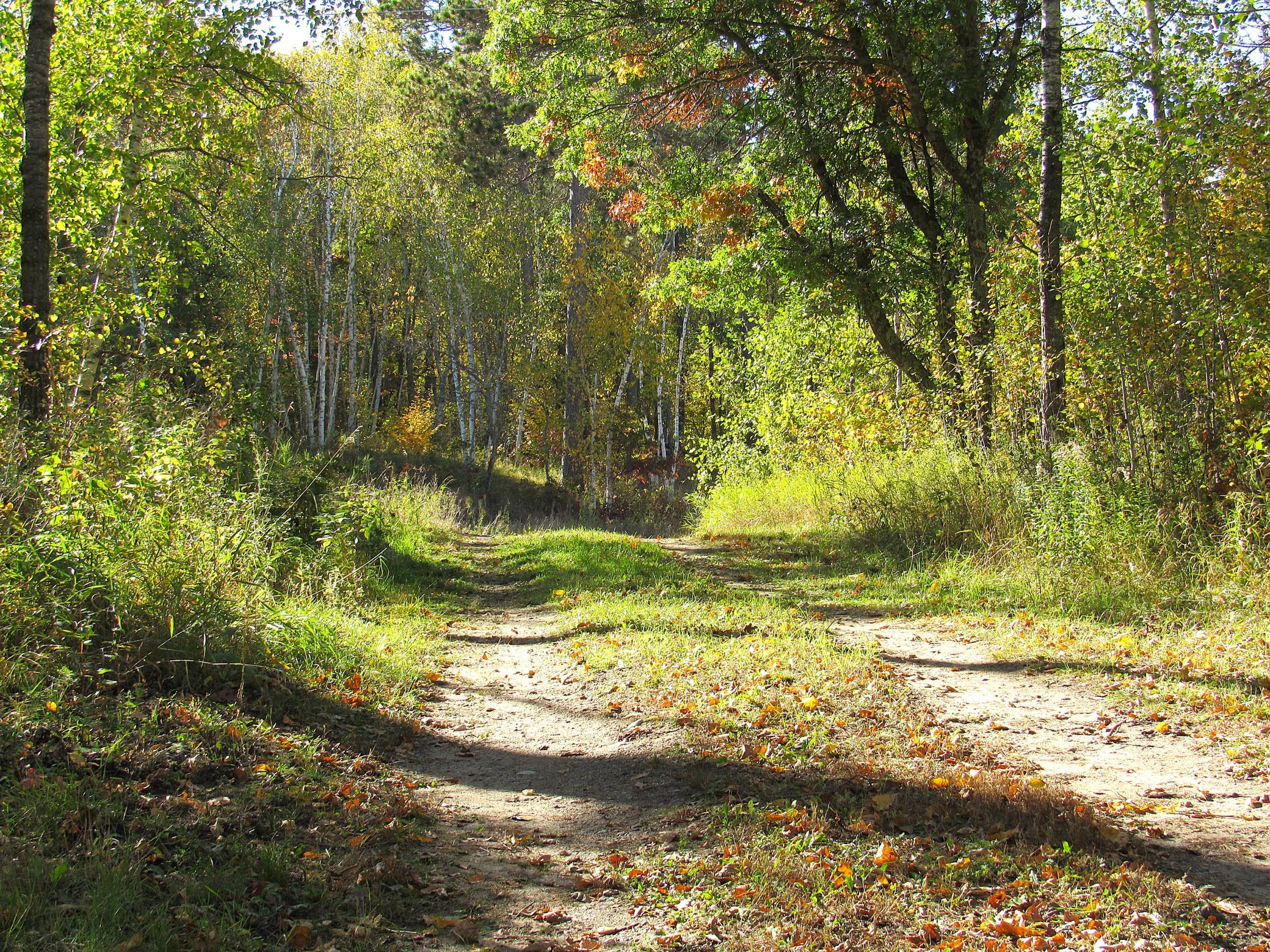 2023 land for sale at XXX US 71 in Park Rapids, MN (photo 6 of 15)