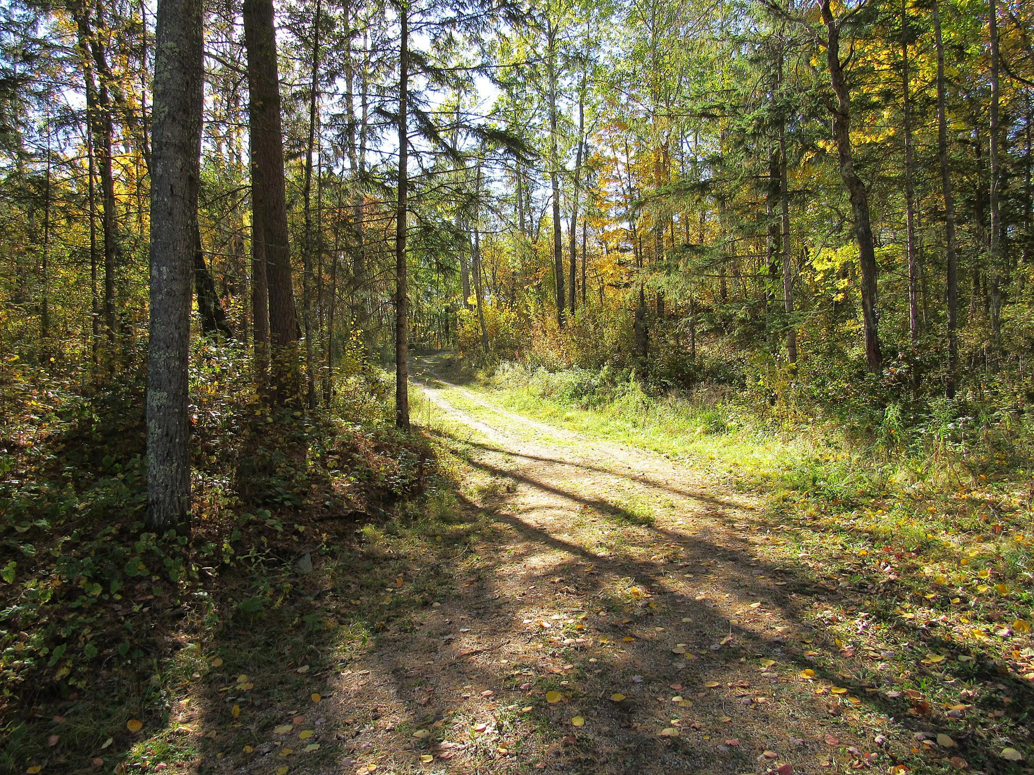 2023 land for sale at XXX US 71 in Park Rapids, MN (photo 7 of 15)