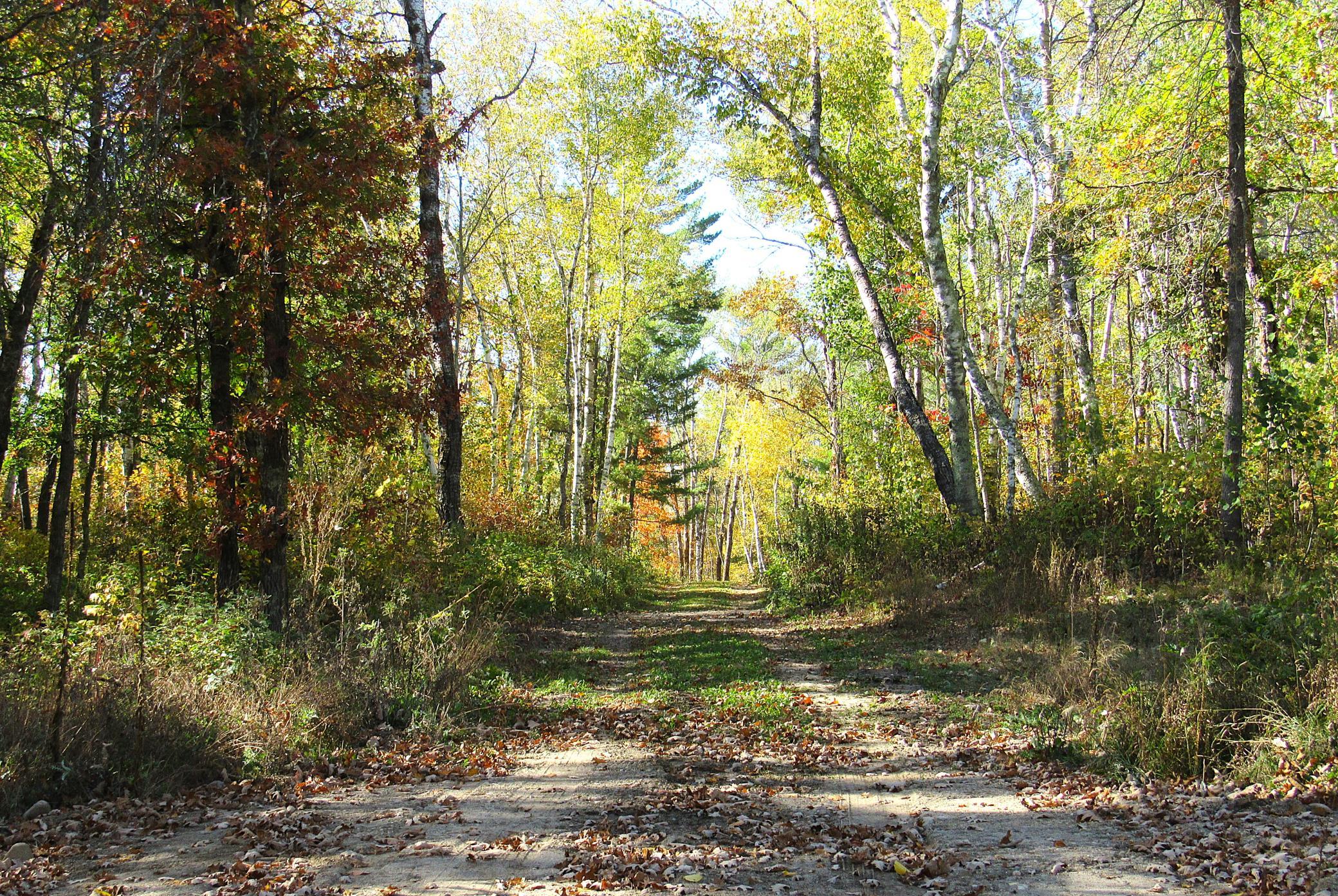 2023 land for sale at XXX US 71 in Park Rapids, MN (photo 8 of 15)