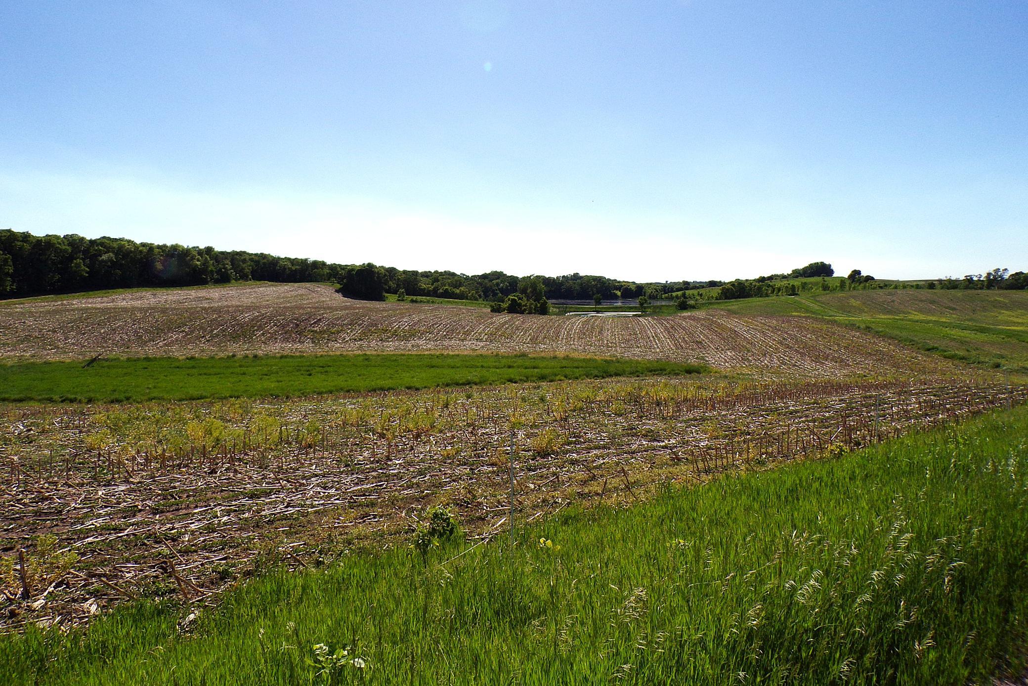 1890 single family home for sale at 4199 Andes Road SW in Kensington, MN — 3 bed, 1 bath (photo 33 of 63)