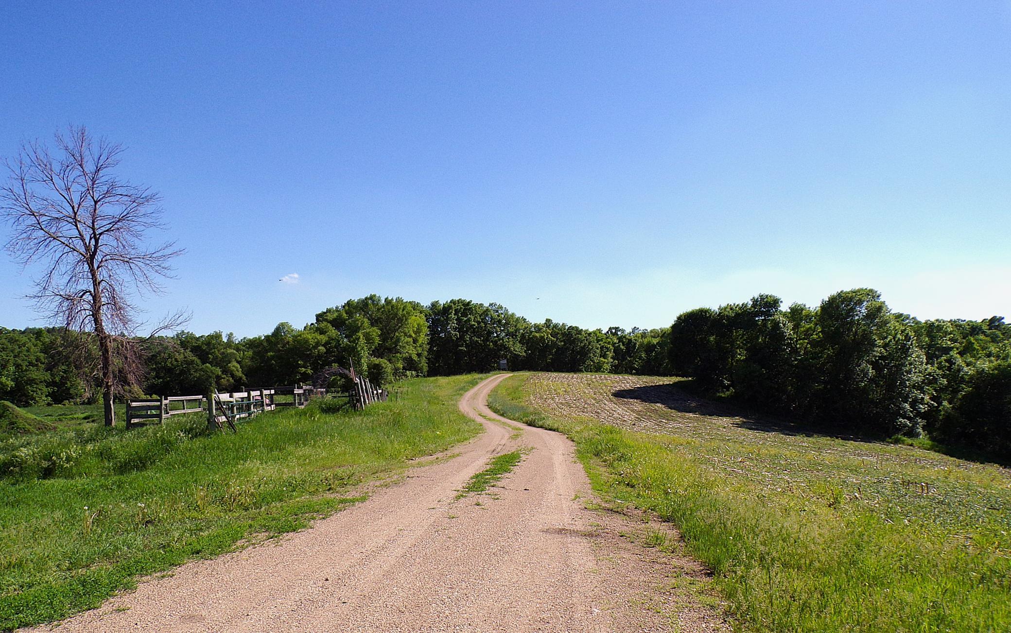 1890 single family home for sale at 4199 Andes Road SW in Kensington, MN — 3 bed, 1 bath (photo 36 of 63)