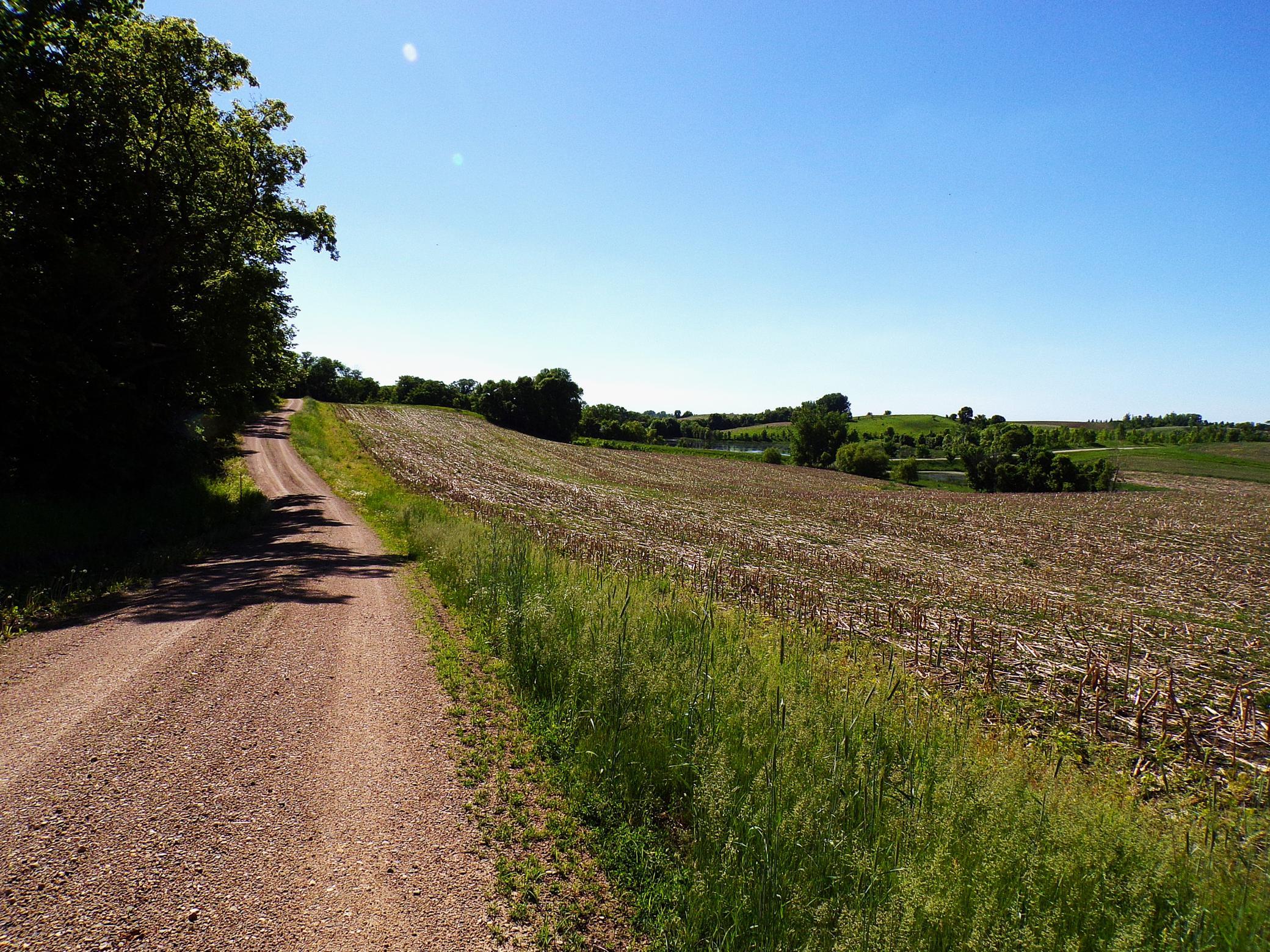 1890 single family home for sale at 4199 Andes Road SW in Kensington, MN — 3 bed, 1 bath (photo 38 of 63)
