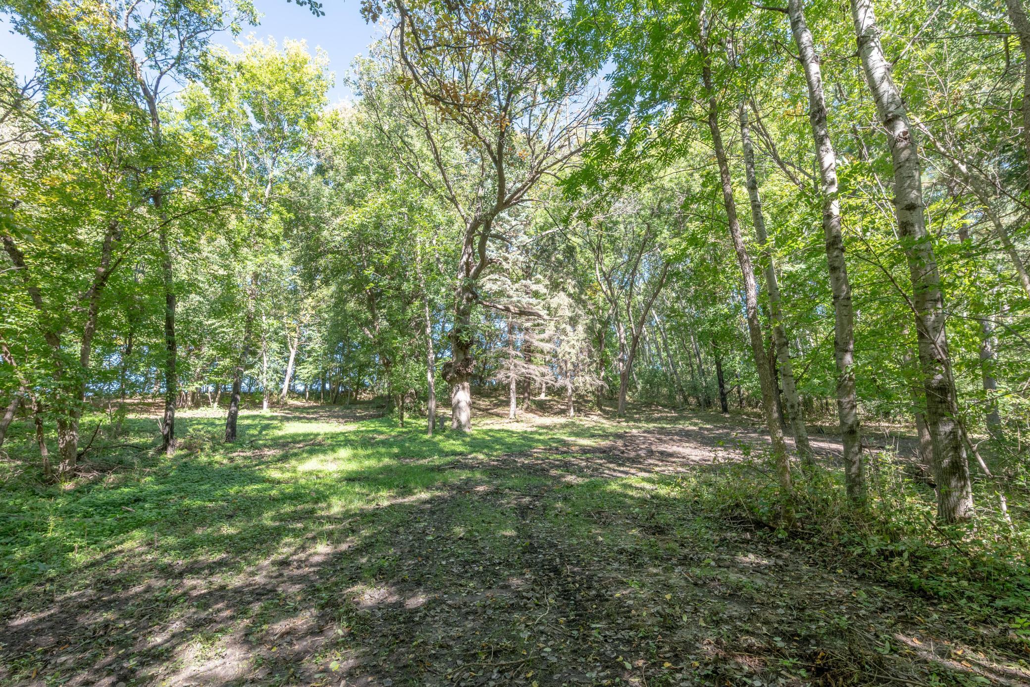 land for sale at TBD 397th Street in Perham, MN (photo 2 of 12)