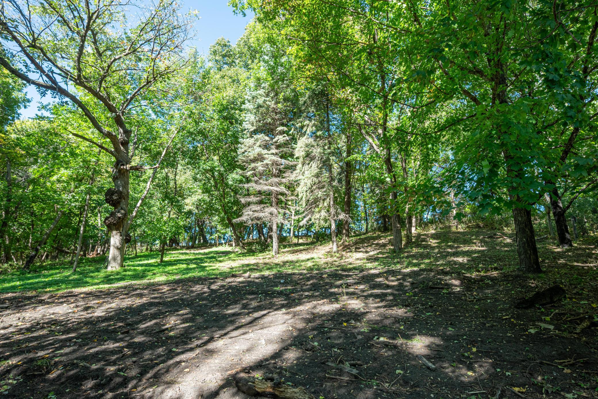 land for sale at TBD 397th Street in Perham, MN (photo 4 of 12)