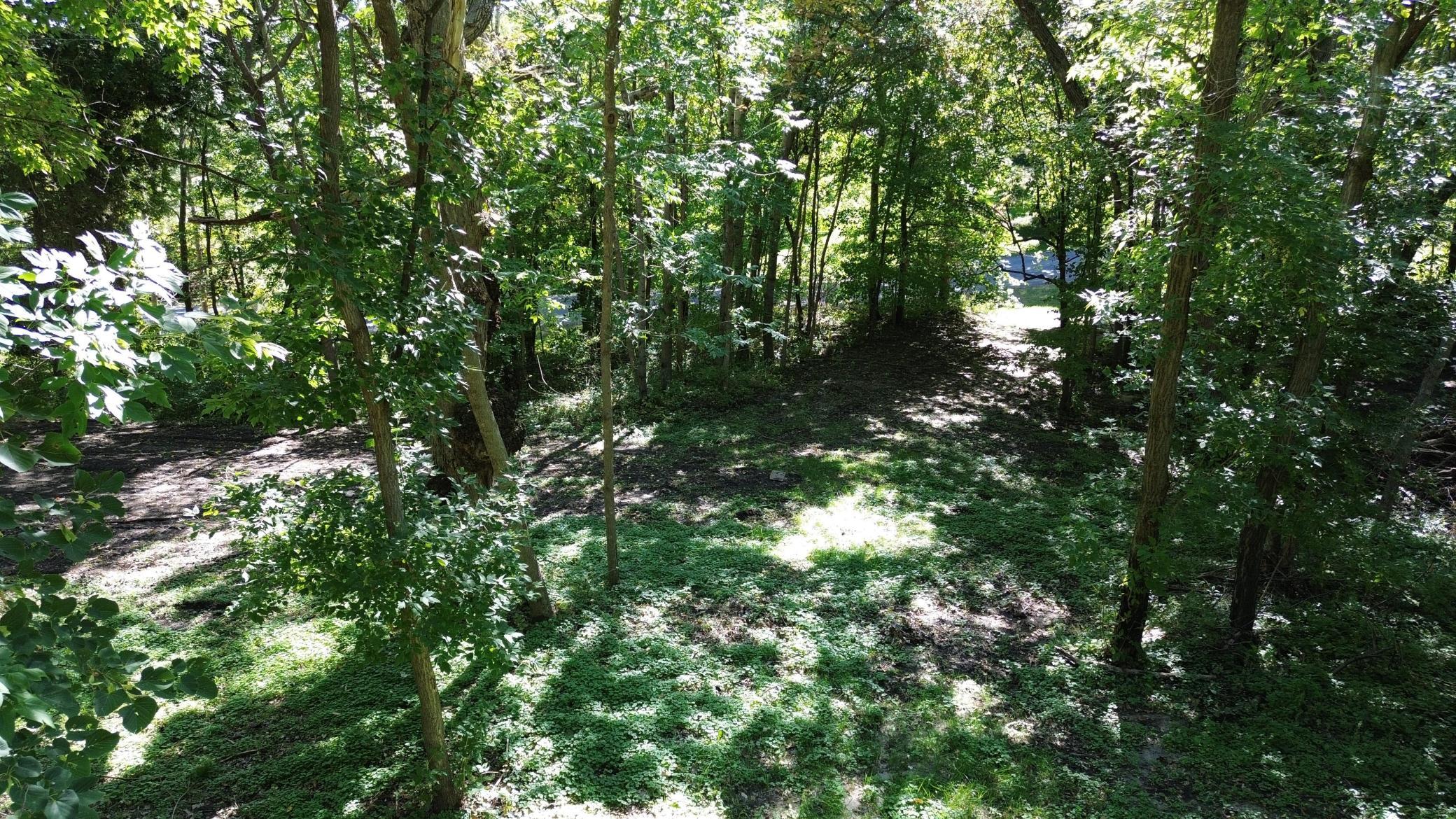 land for sale at TBD 397th Street in Perham, MN (photo 9 of 12)