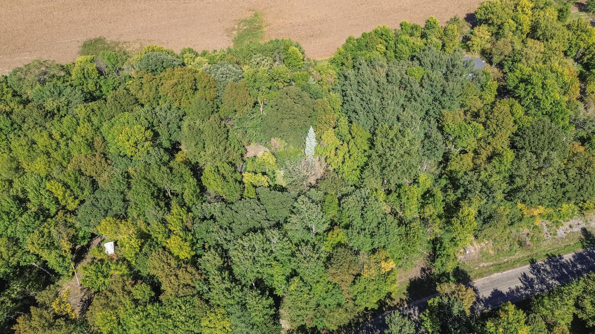 land for sale at TBD 397th Street in Perham, MN (photo 10 of 12)