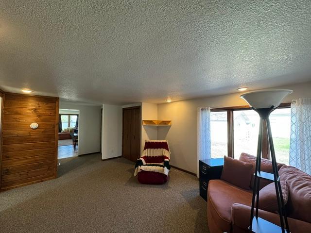 1910 single family home for sale at 106 Cedar Avenue NE in Wadena, MN — 4 bed, 2 bath (photo 26 of 46)