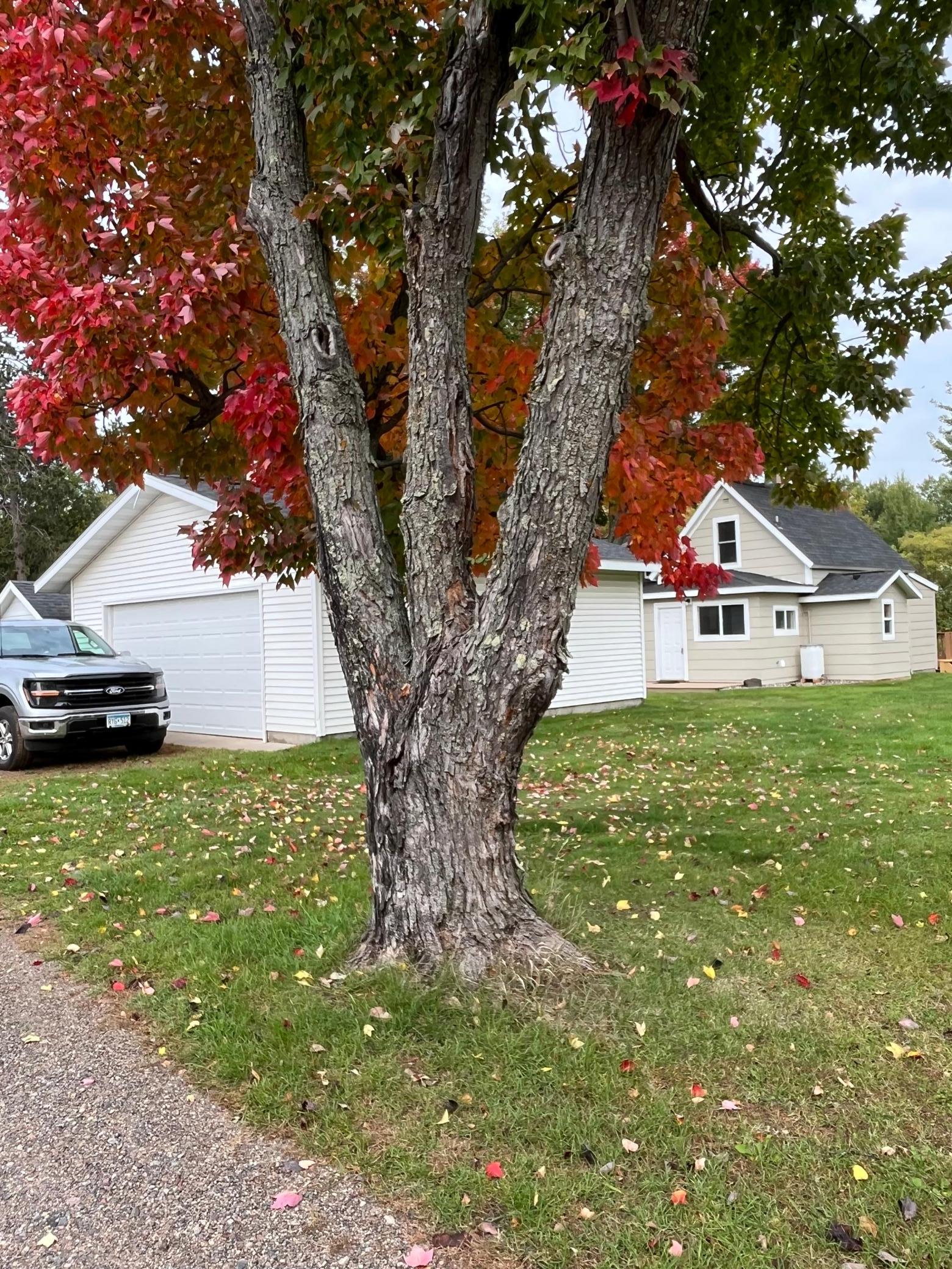 1924 single family home for sale at 206 Peary Street in Palisade, MN — 2 bed, 1 bath
