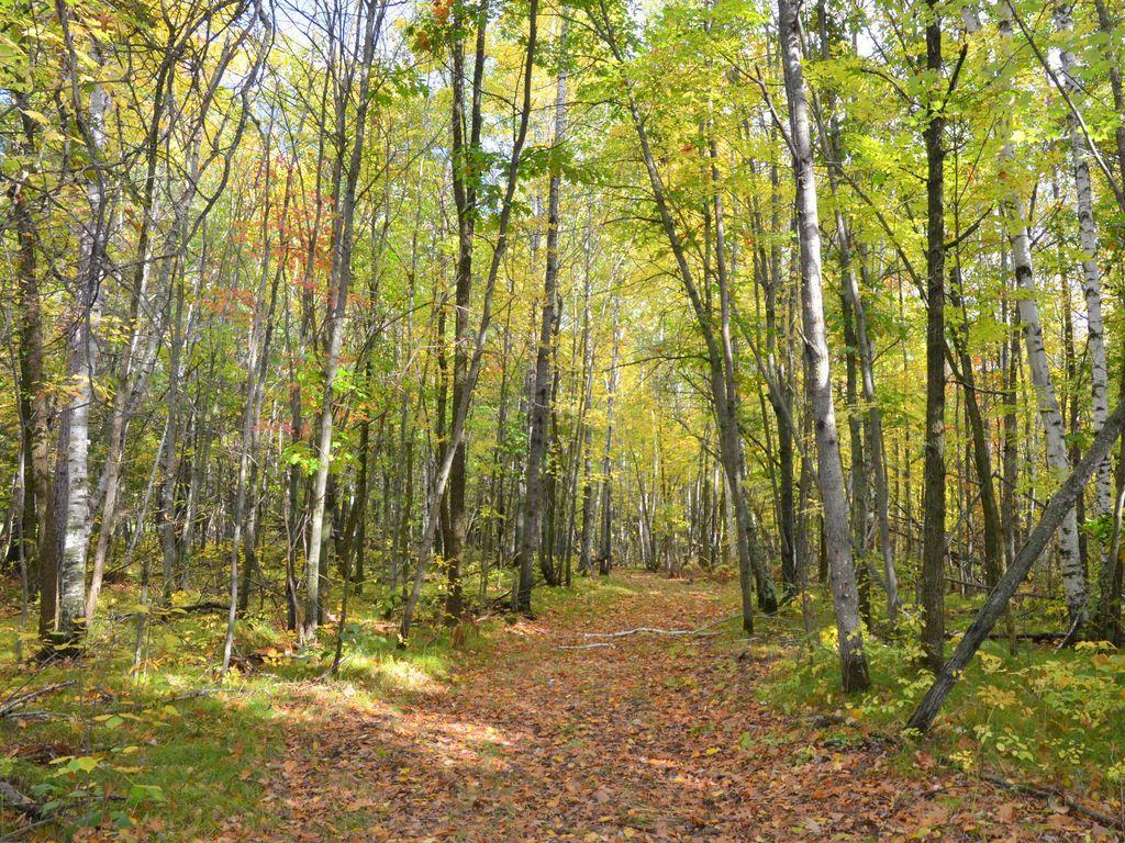 land for sale at TBD Juneberry Drive in Park Rapids, MN (photo 11 of 18)