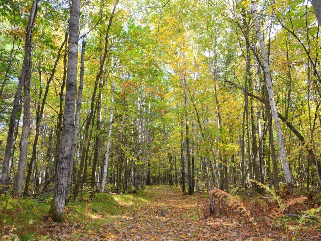 land for sale at TBD Juneberry Drive in Park Rapids, MN (photo 12 of 18)