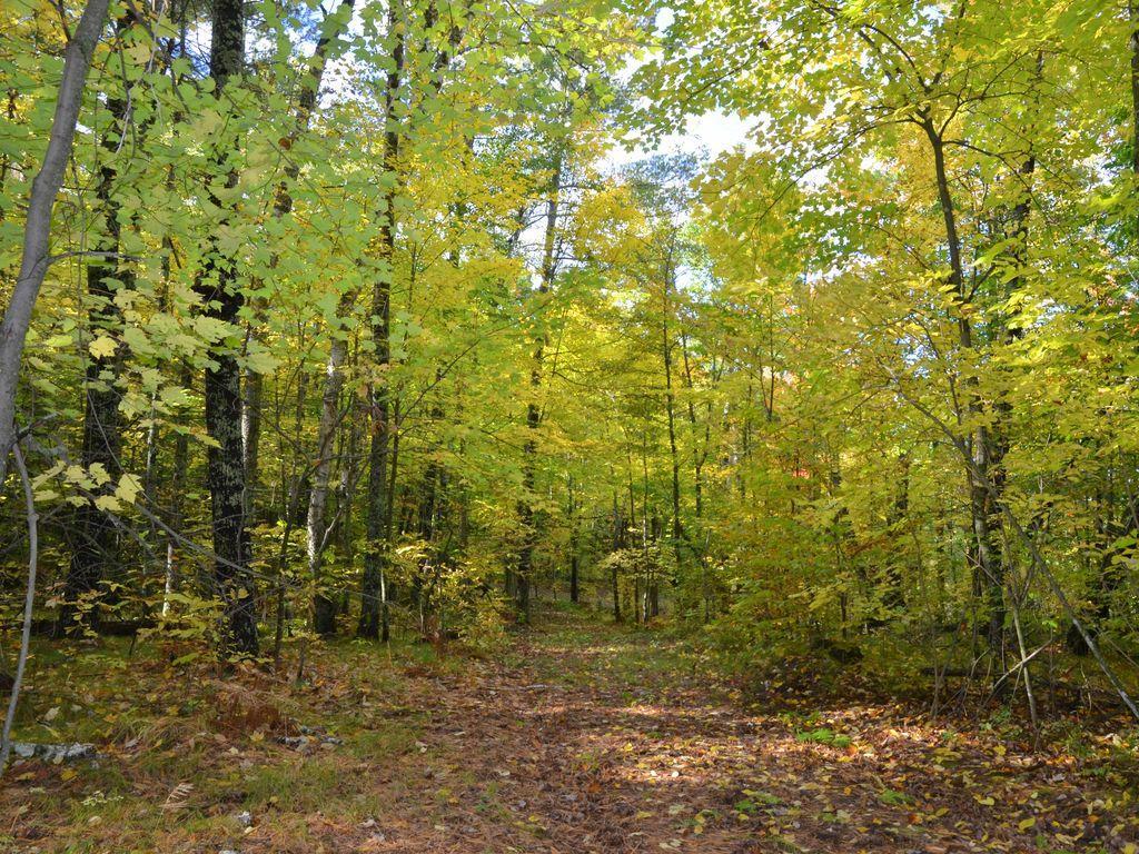 land for sale at TBD Juneberry Drive in Park Rapids, MN (photo 14 of 18)