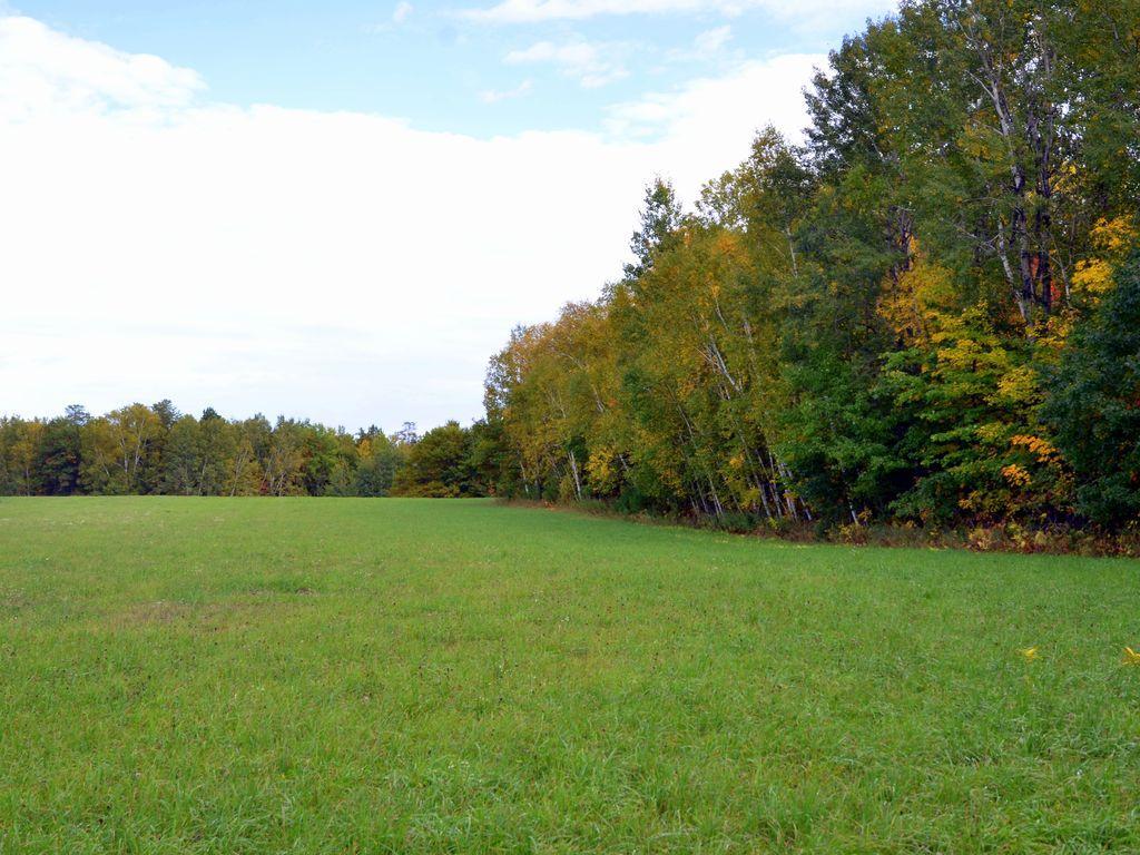 land for sale at TBD Juneberry Drive in Park Rapids, MN (photo 4 of 18)