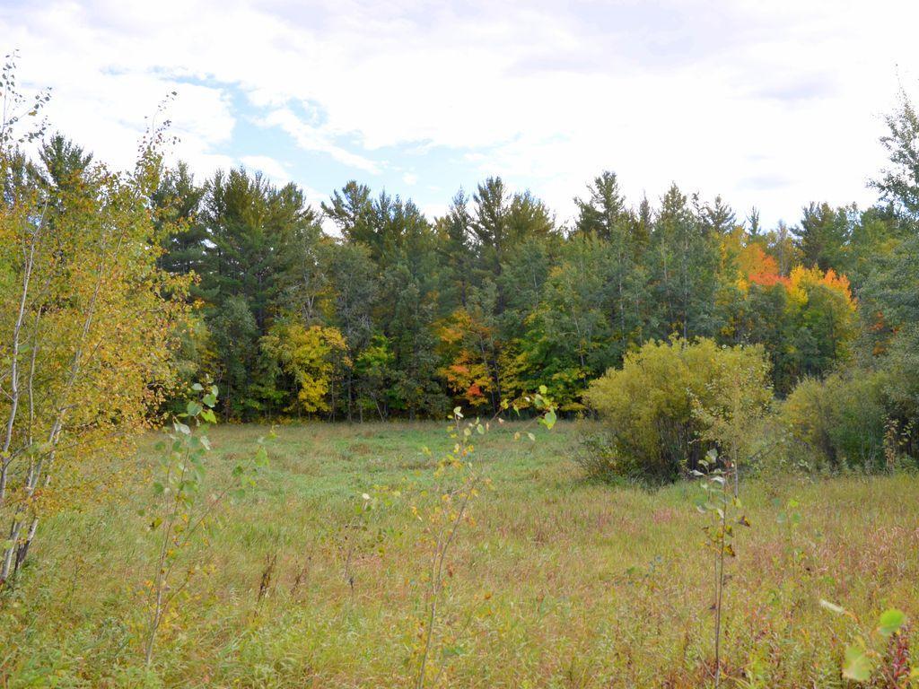 land for sale at TBD Juneberry Drive in Park Rapids, MN (photo 5 of 18)