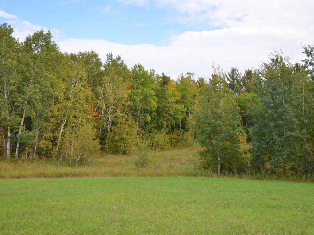 land for sale at TBD Juneberry Drive in Park Rapids, MN (photo 6 of 18)