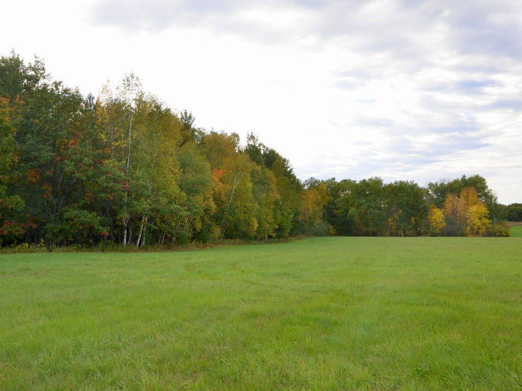 land for sale at TBD Juneberry Drive in Park Rapids, MN (photo 7 of 18)