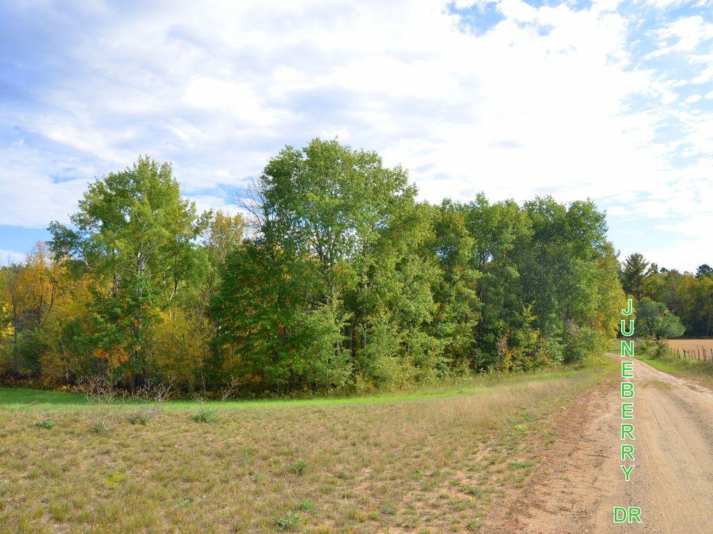 land for sale at TBD Juneberry Drive in Park Rapids, MN (photo 8 of 18)